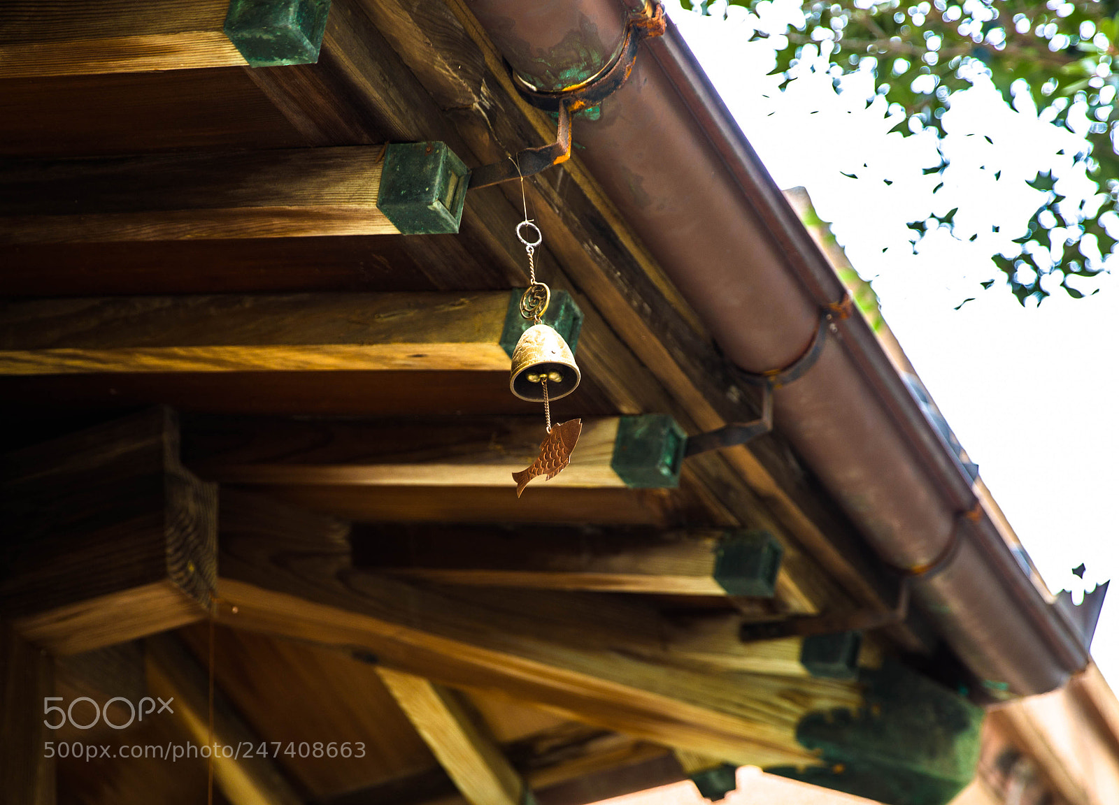 Canon EOS 6D Mark II sample photo. Busan photography