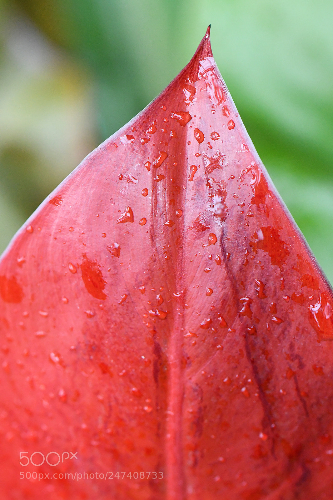Nikon D500 sample photo. Edr photography