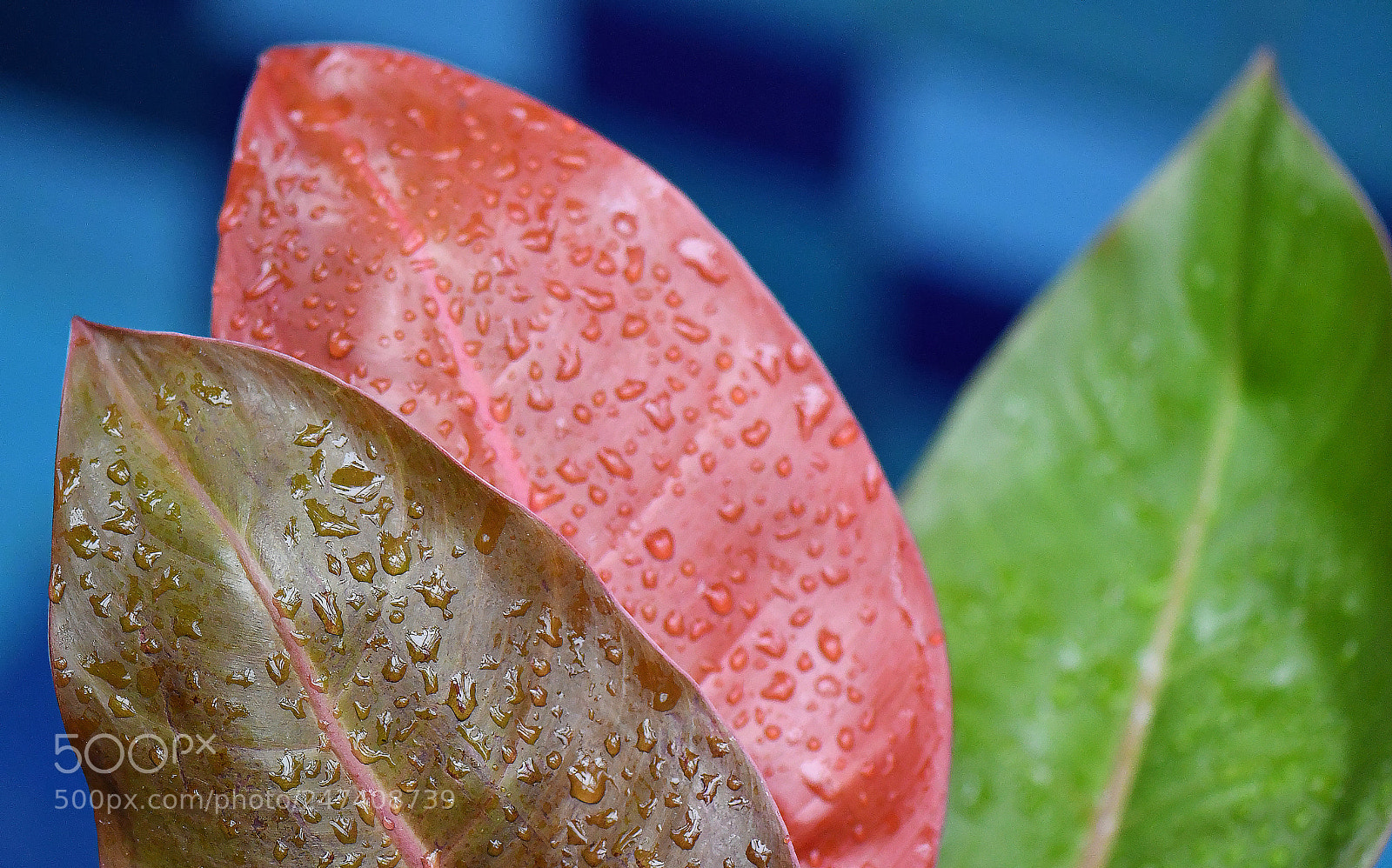 Nikon D500 sample photo. Edr photography