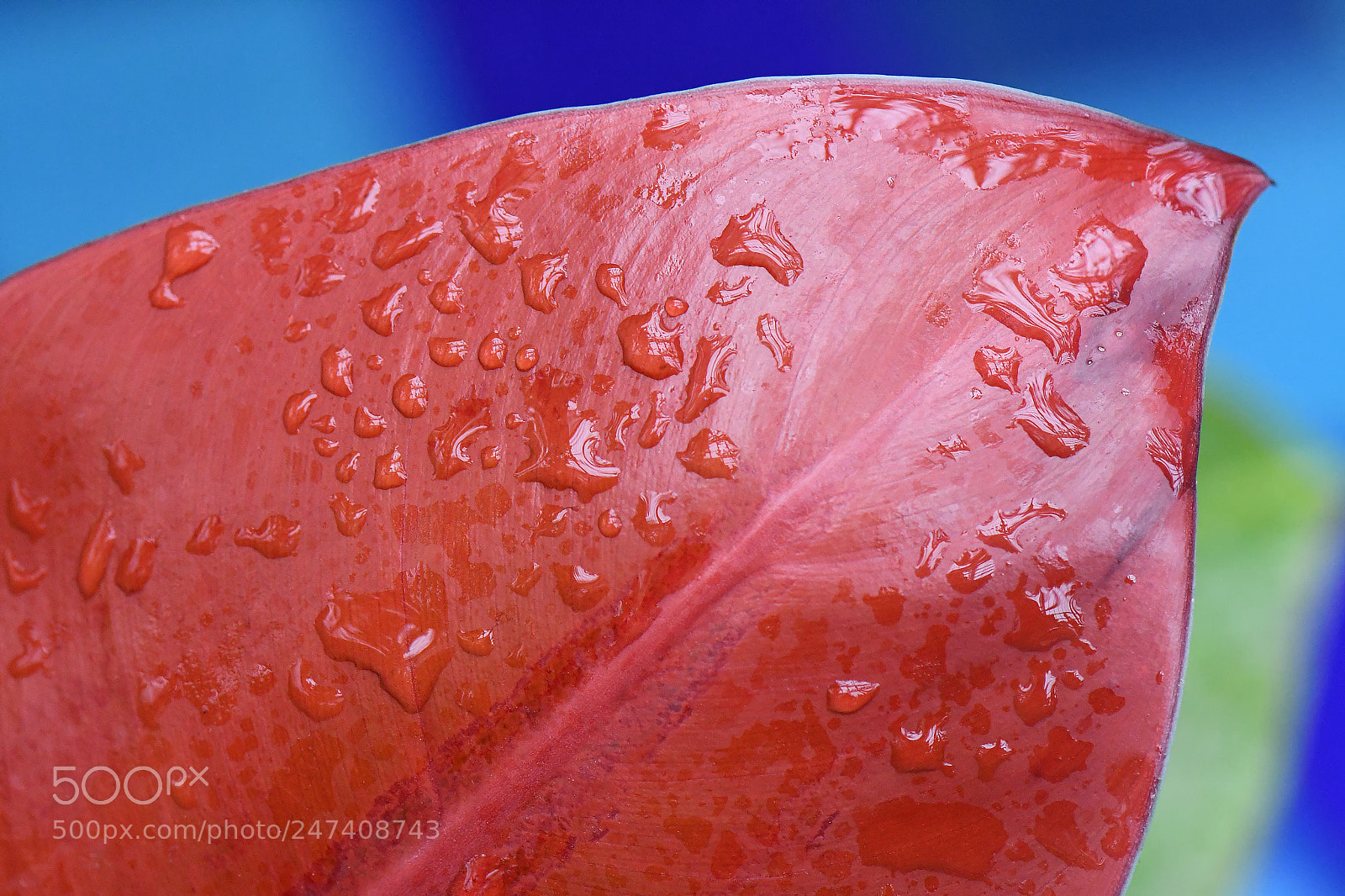 Nikon D500 sample photo. Edr photography