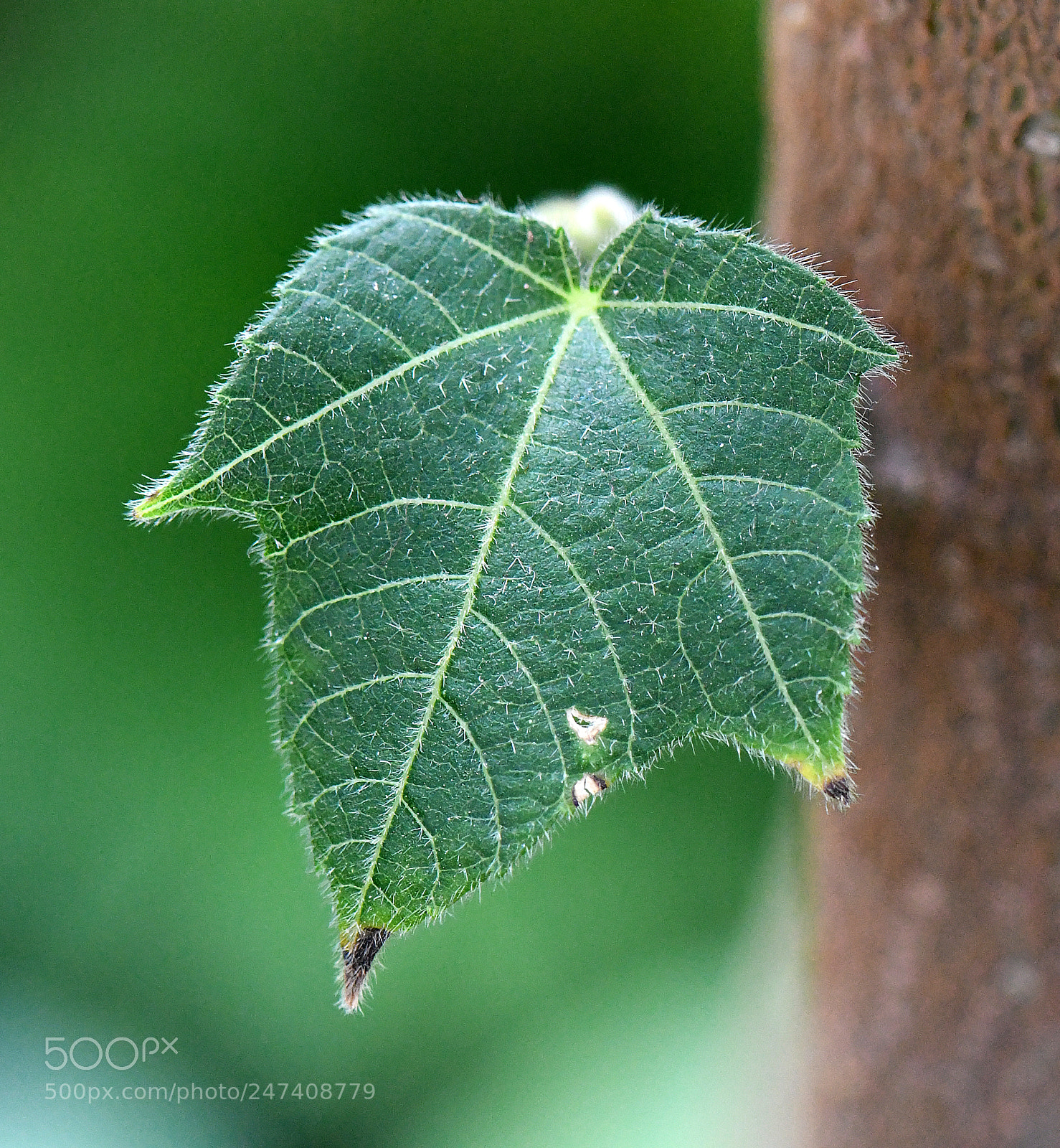 Nikon D500 sample photo. Edr photography