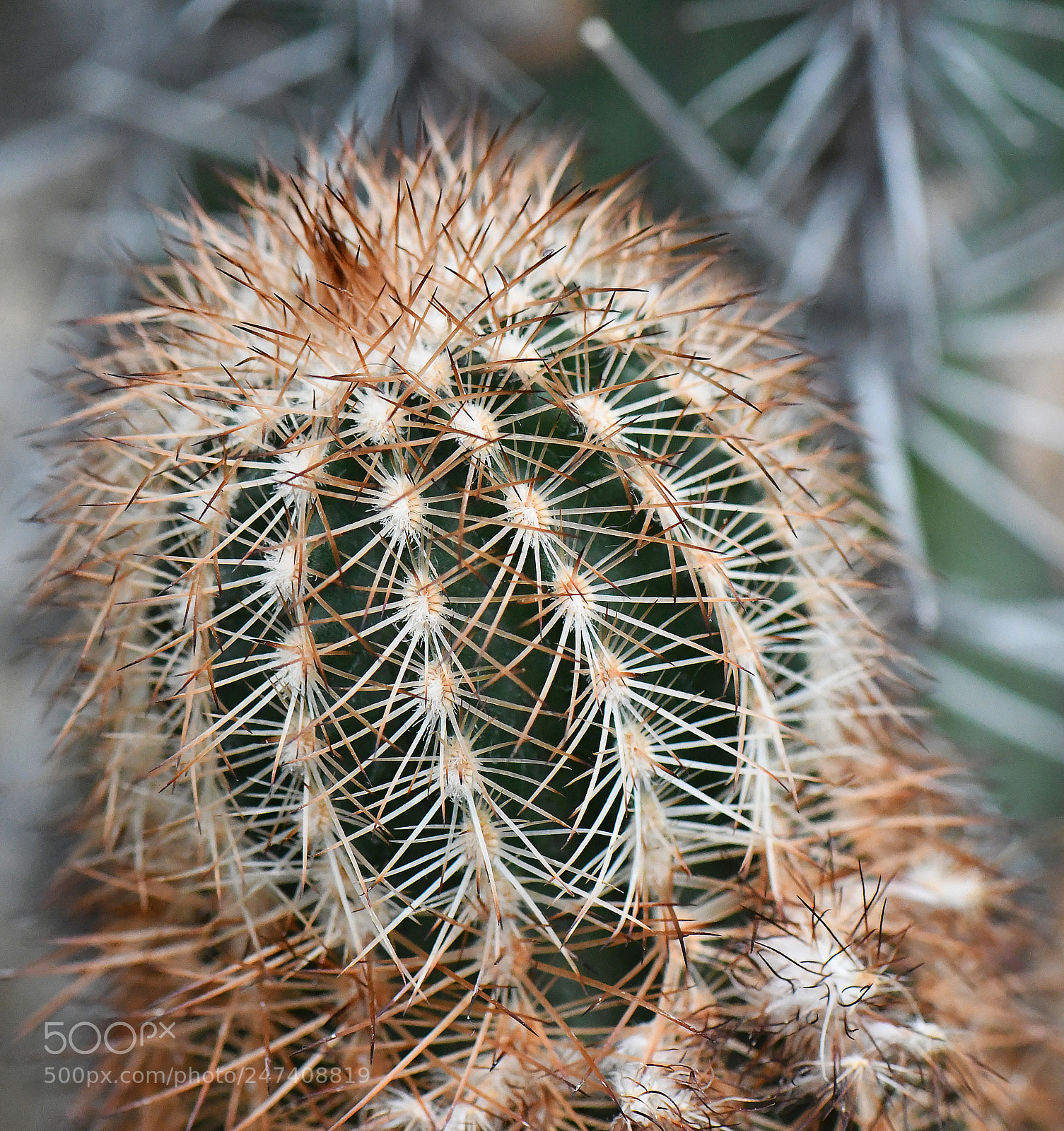 Nikon D500 sample photo. Edr photography