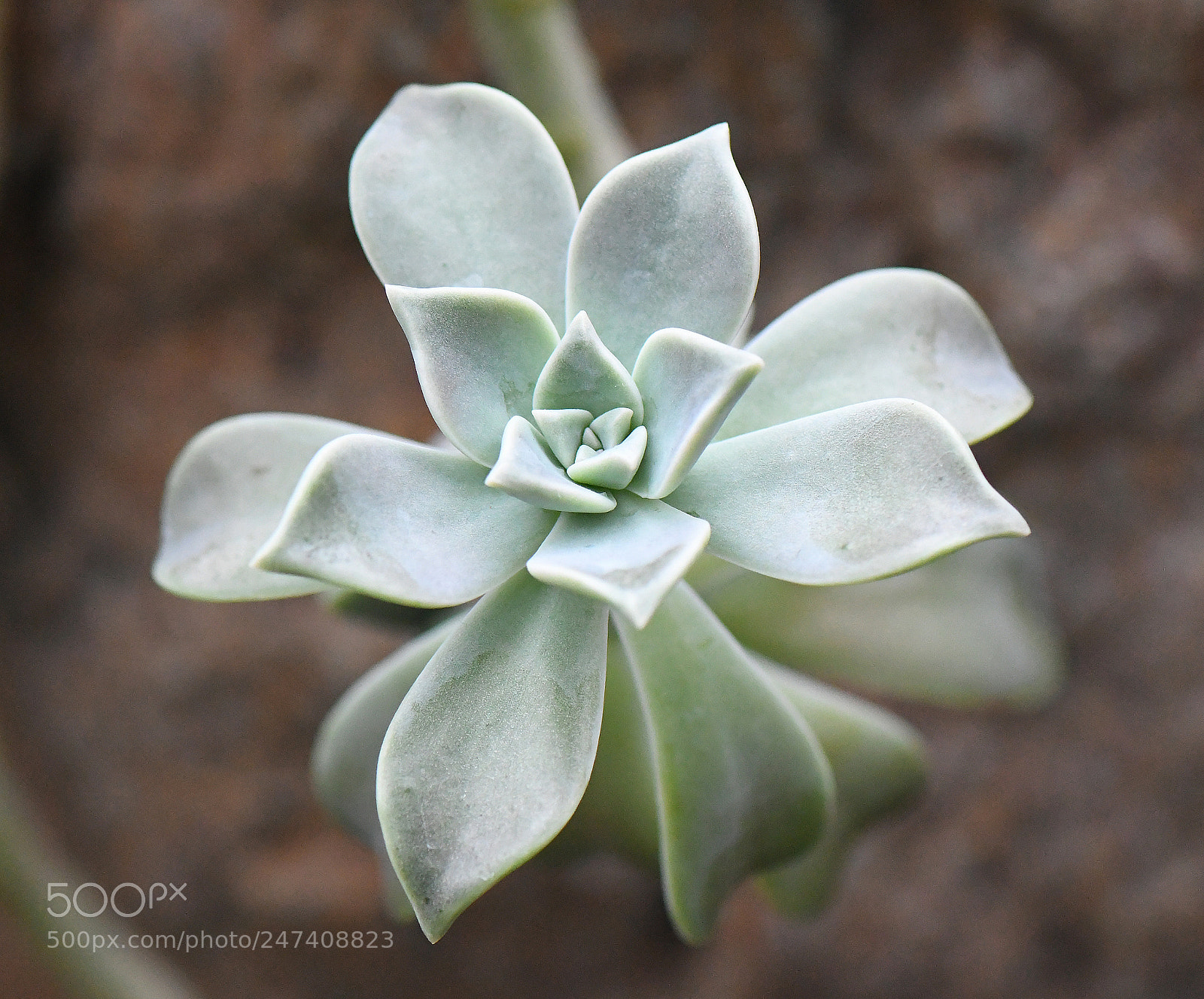 Nikon D500 sample photo. Edr photography