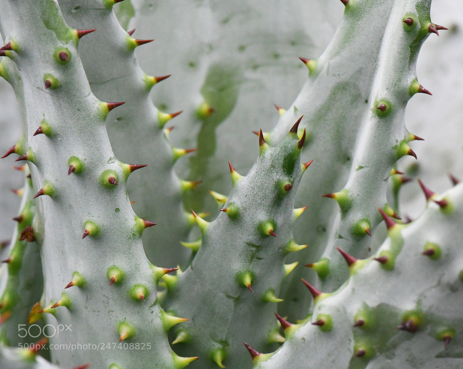 Nikon D500 sample photo. Edr photography