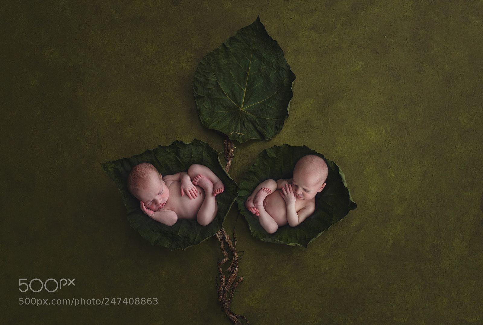 Nikon D810 sample photo. Life after loss photography