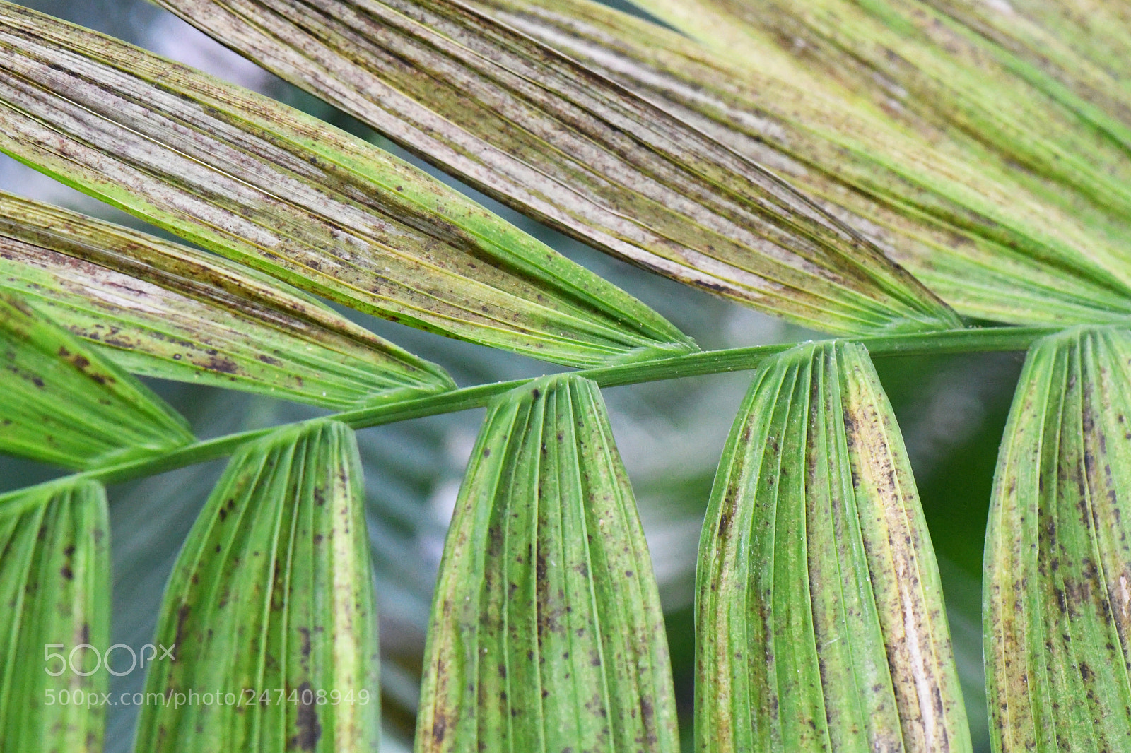 Nikon D500 sample photo. Edr photography