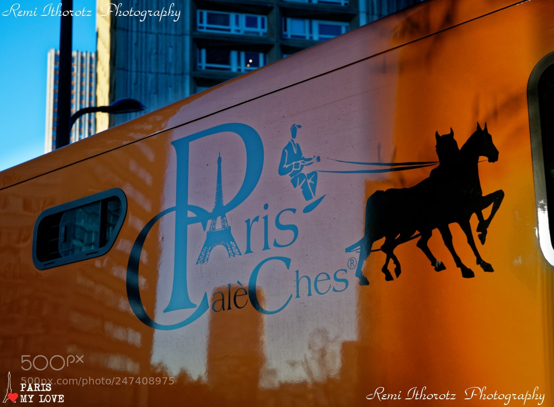 Nikon D850 sample photo. Horse and the city photography