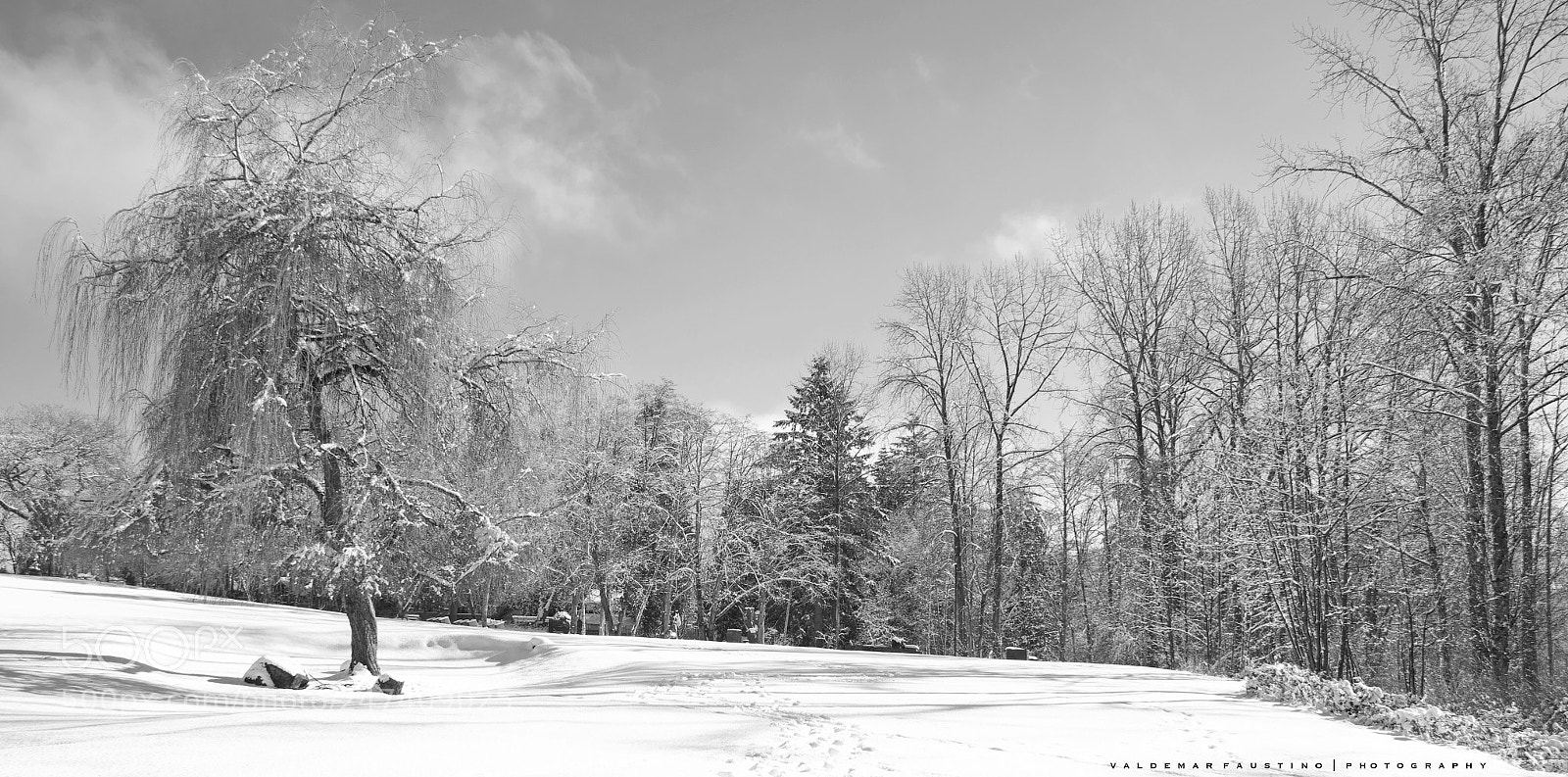 Canon EOS 7D Mark II sample photo. Standing alone photography
