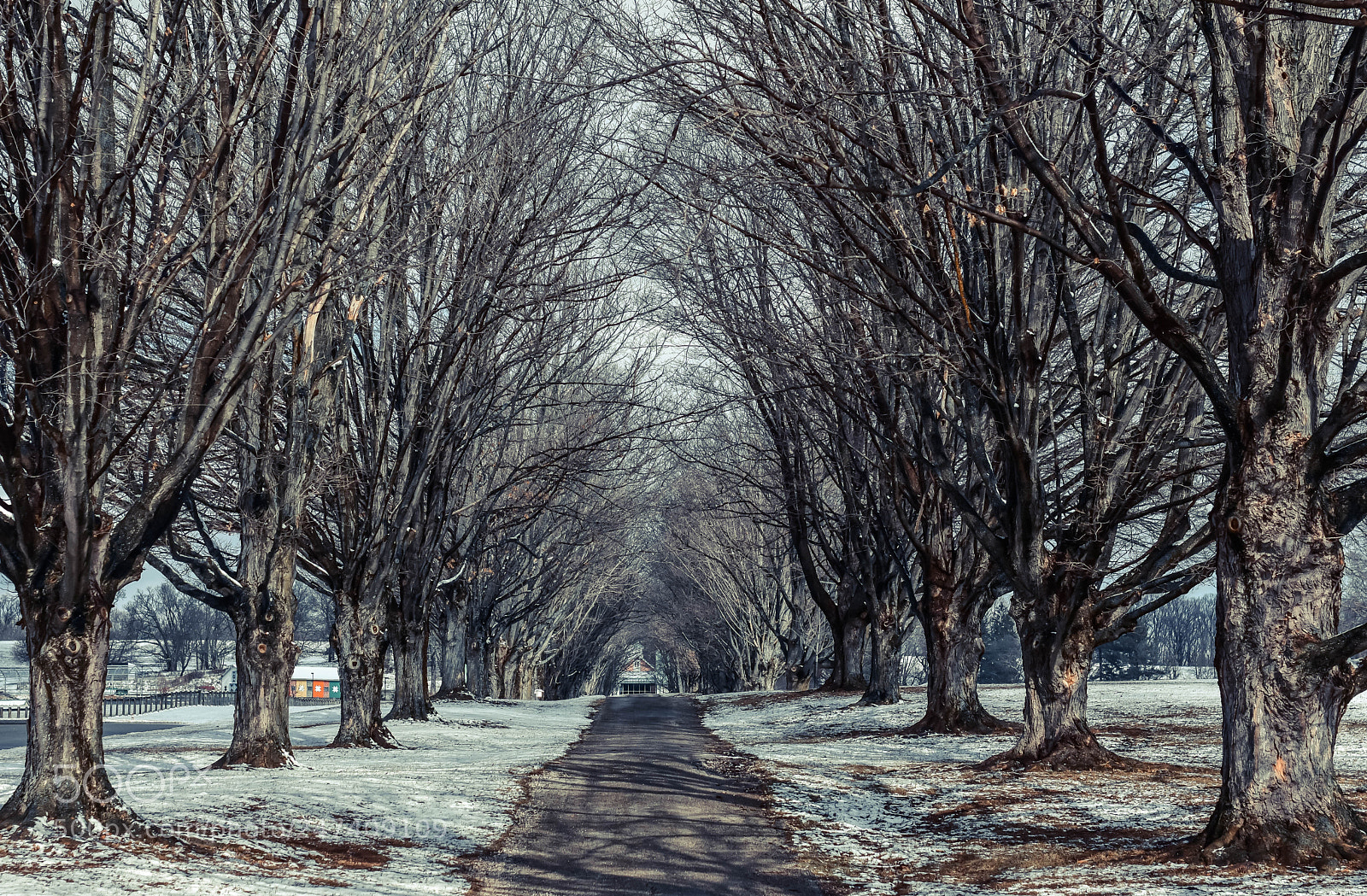 Nikon D7200 sample photo. Ready for spring photography