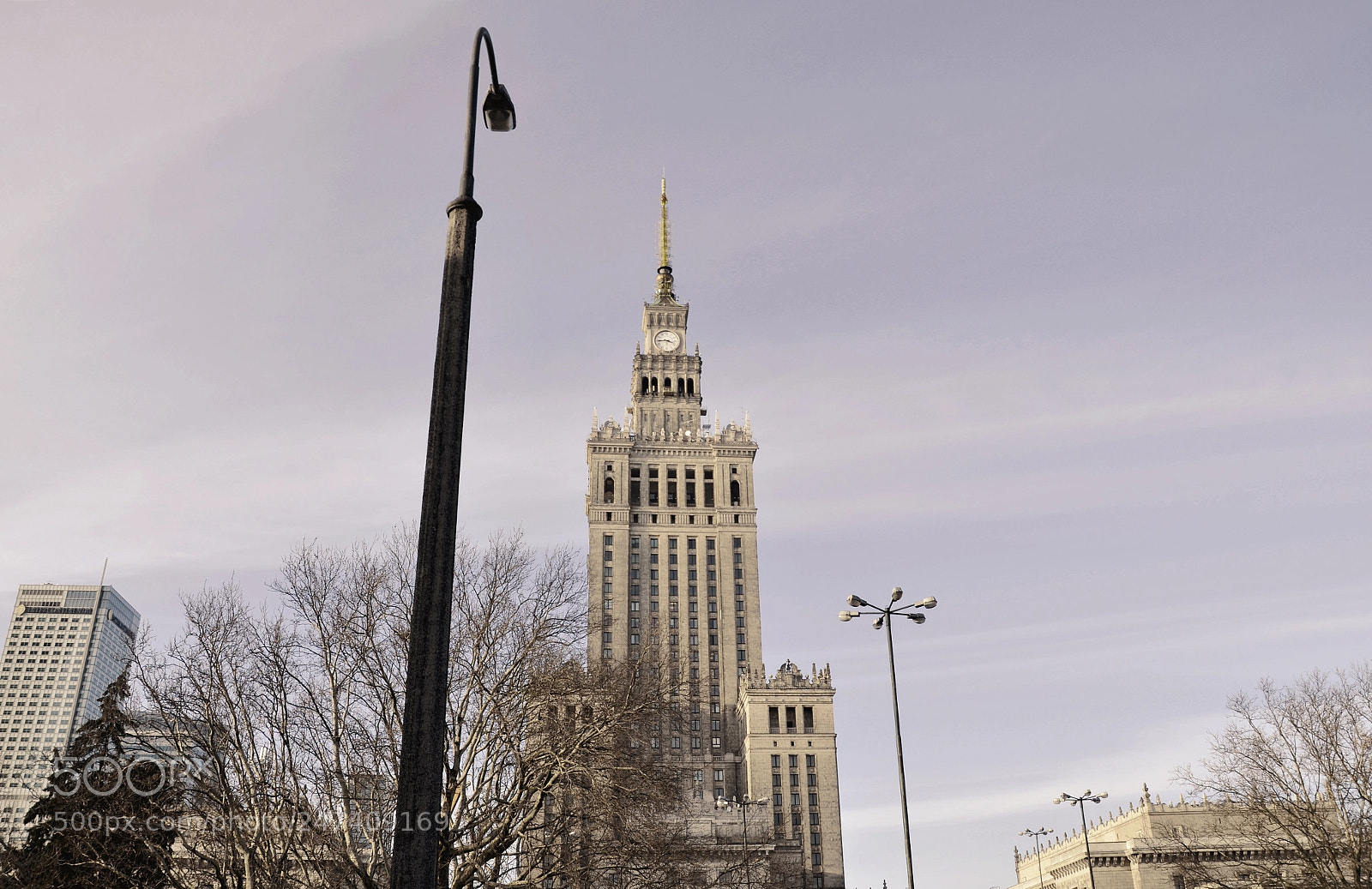 Nikon D5100 sample photo. Warsaw photography