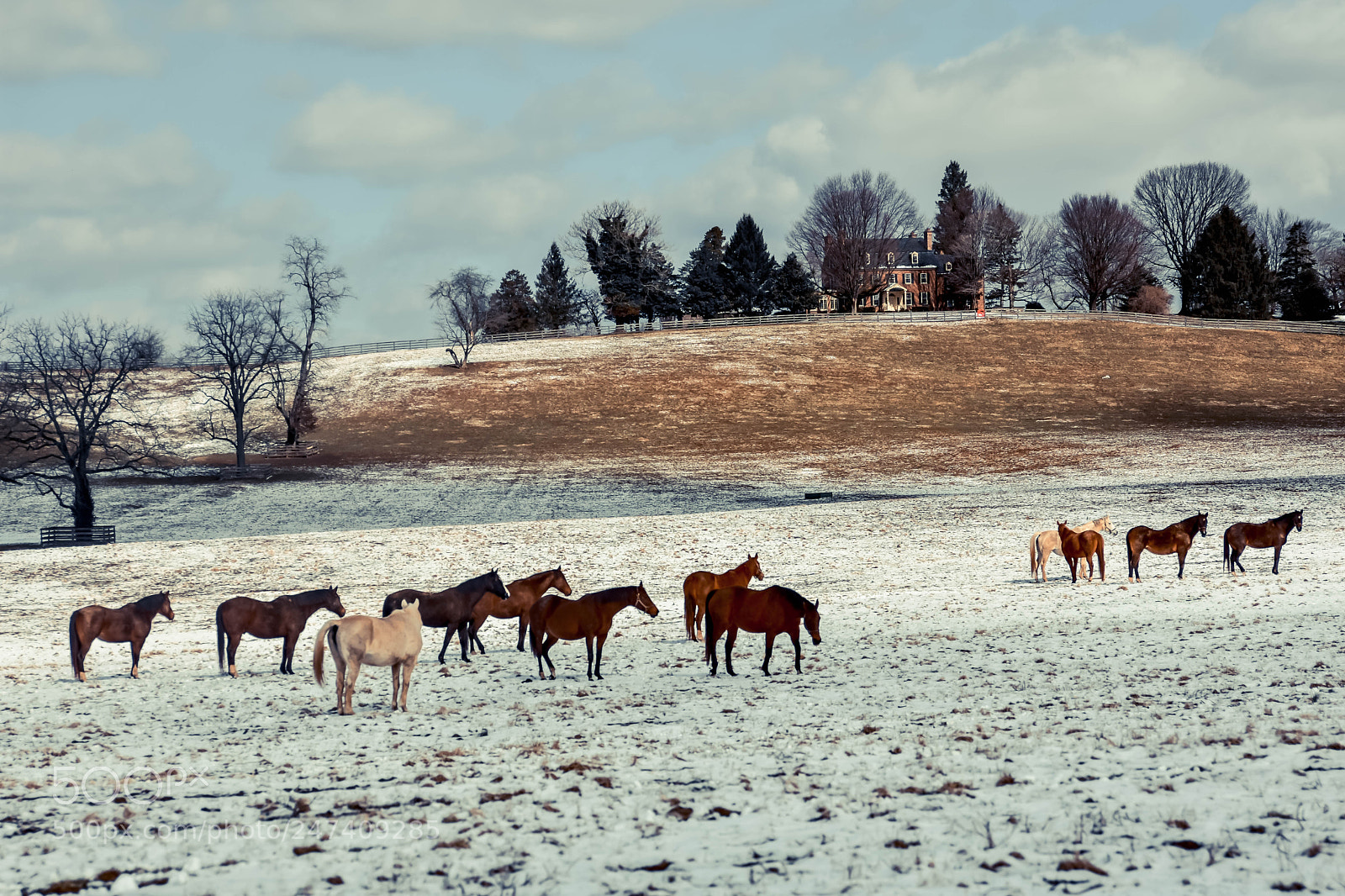 Nikon D7200 sample photo. Waiting for spring photography