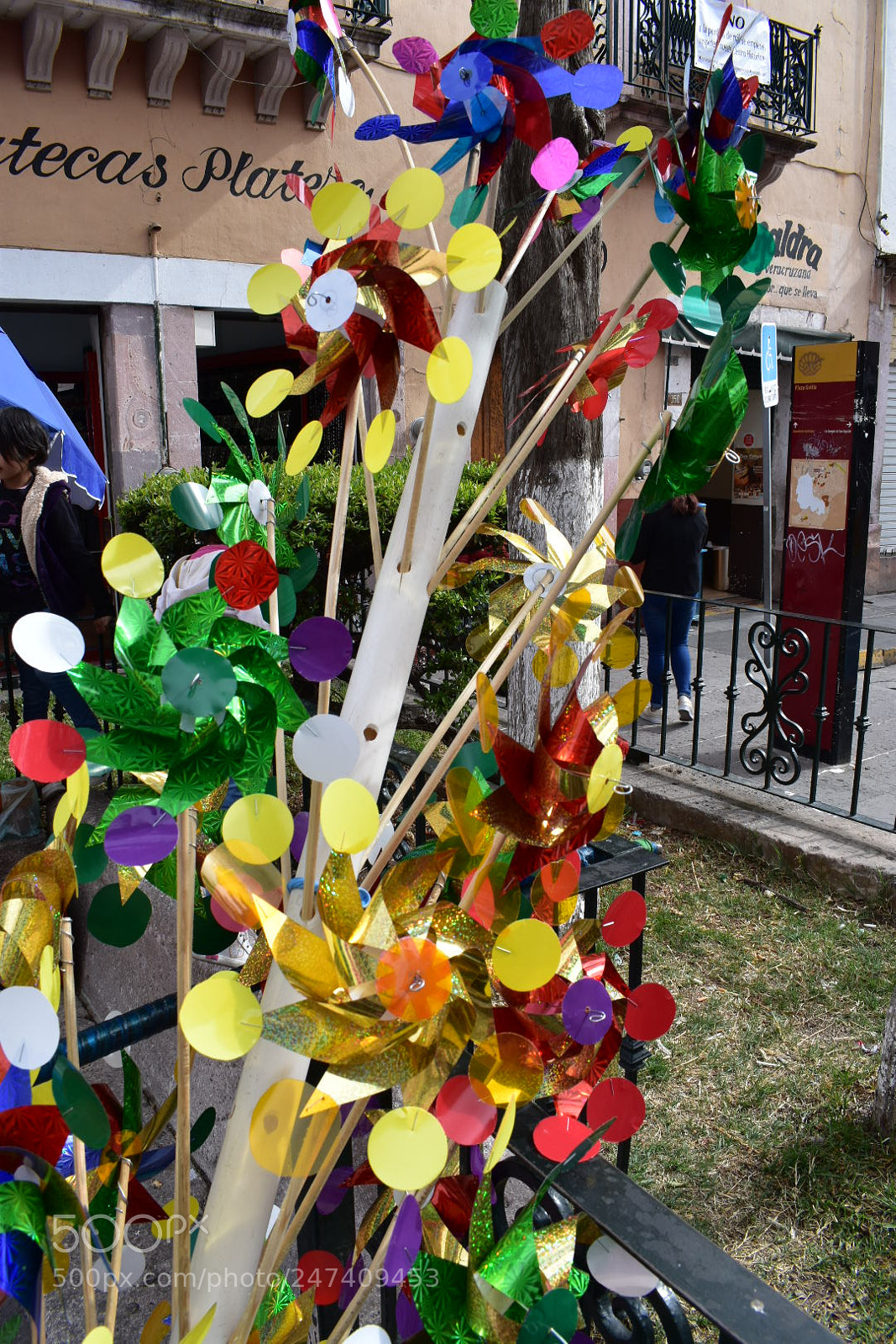 Nikon D3400 sample photo. Colorful photography