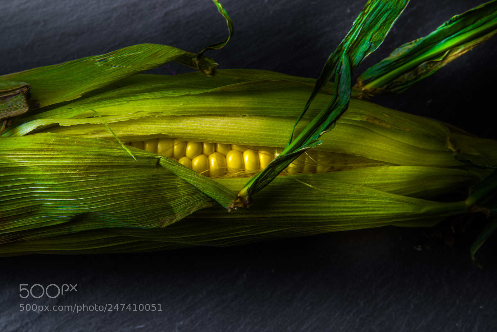 Pentax K-1 sample photo. Organic fresh corn on photography