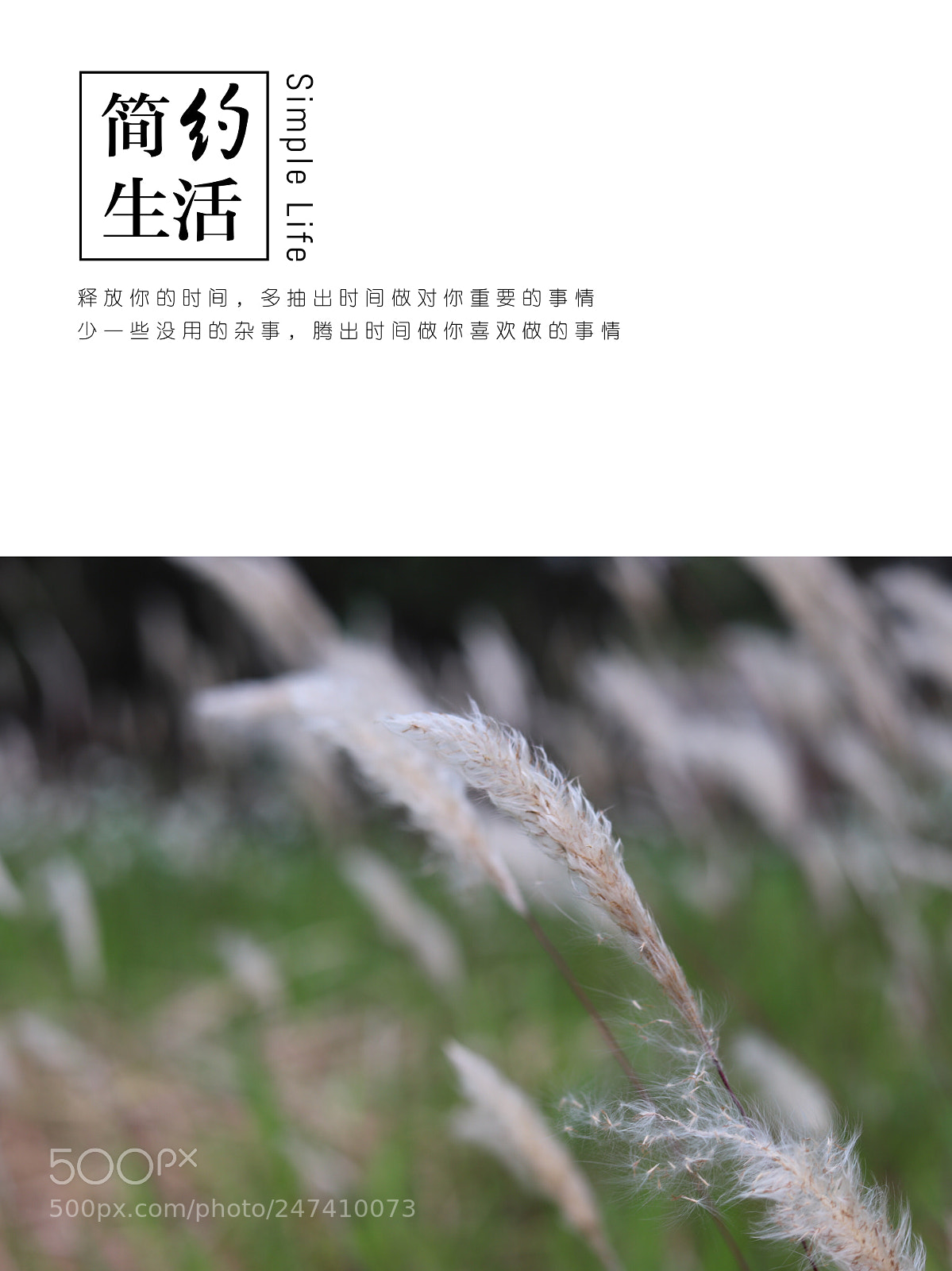 Canon EOS 6D Mark II sample photo. Untitled photography