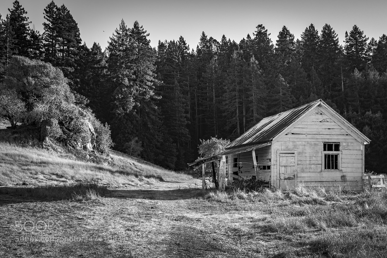 Canon EOS 7D Mark II sample photo. Coleman photography