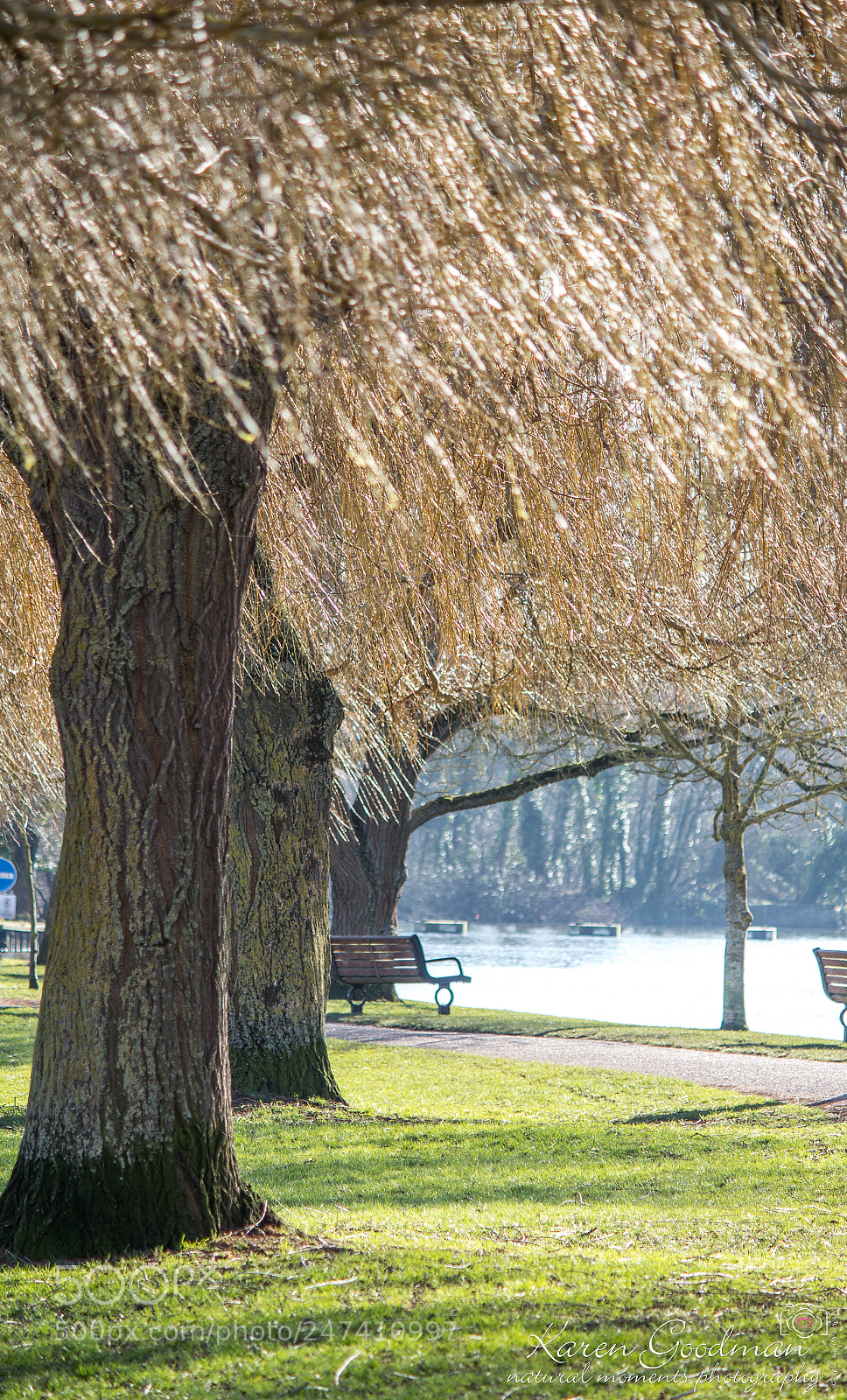 Canon EOS 1300D (EOS Rebel T6 / EOS Kiss X80) sample photo. River at stratford photography