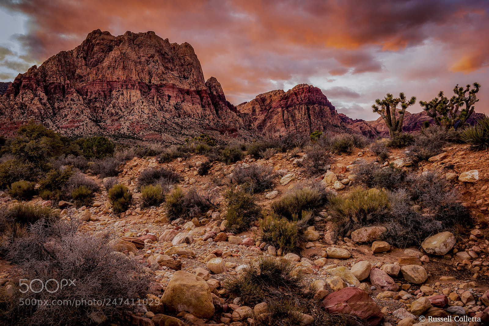 Nikon D810 sample photo. Wilson photography