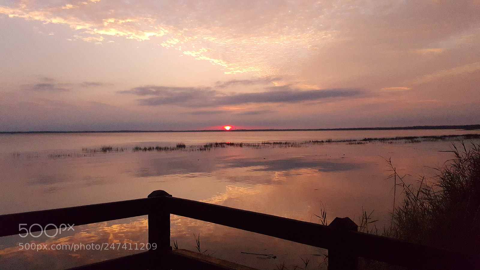 Samsung Galaxy S6 sample photo. Untitled photography