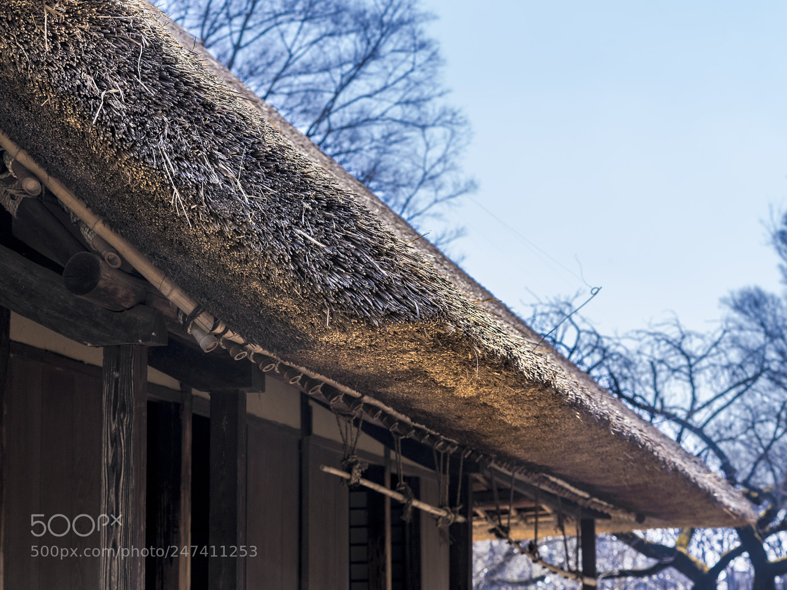 Pentax 645Z sample photo. Farmer's house photography