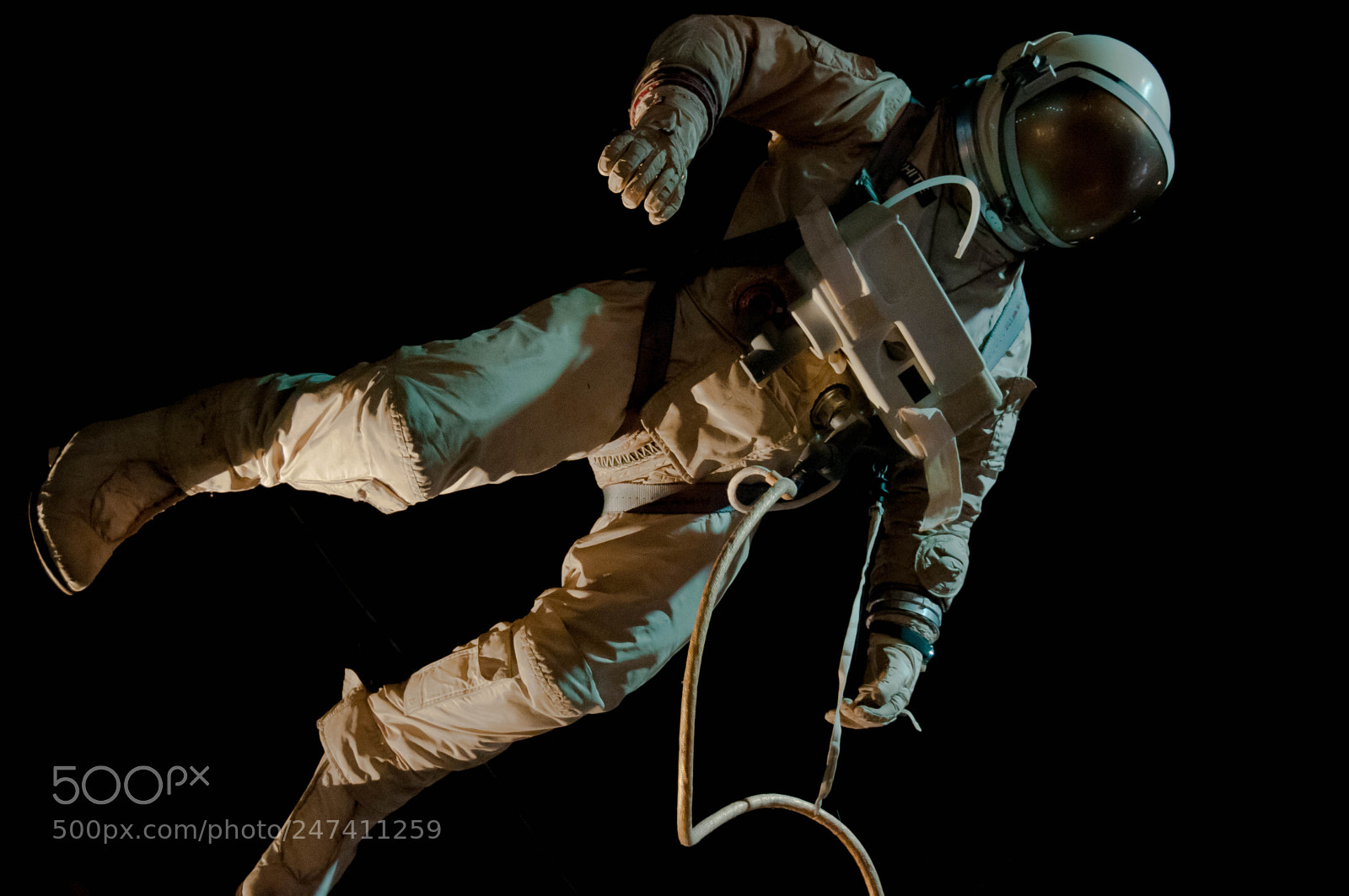 Nikon D300 sample photo. Gemini eva photography