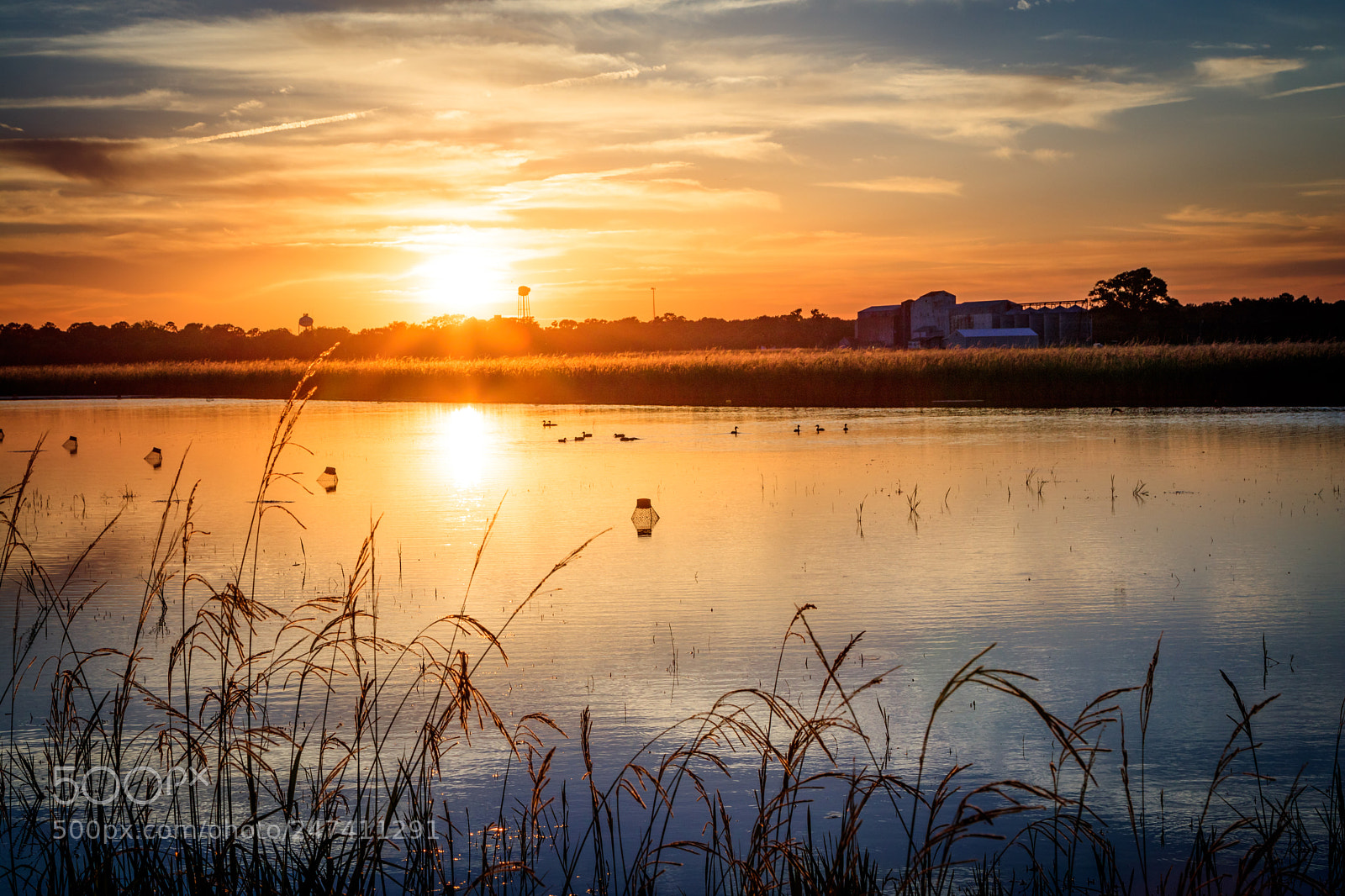 Canon EOS 80D sample photo. Sunsetting over crawfish fields photography