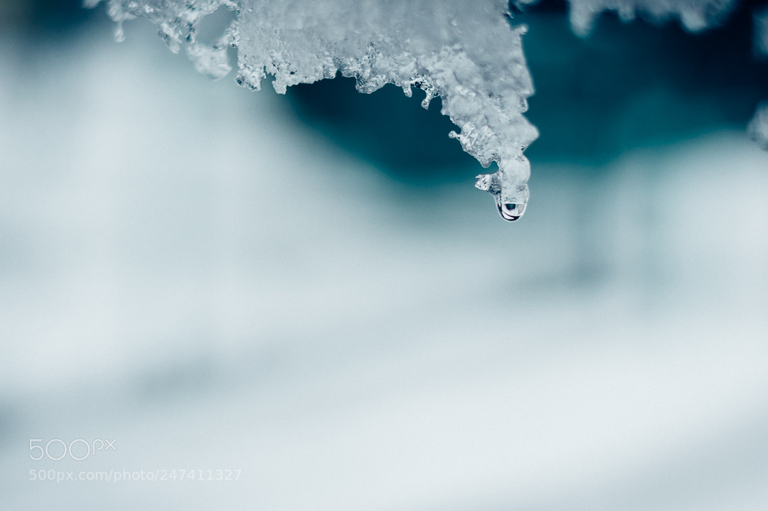 Nikon D5100 sample photo. Icy photography
