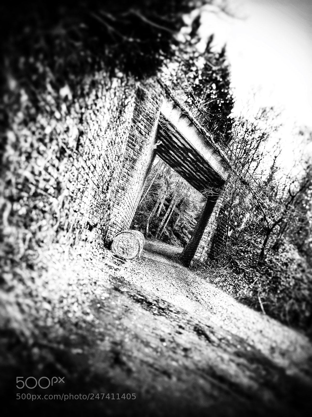 Apple iPhone 6 sample photo. Untitled photography
