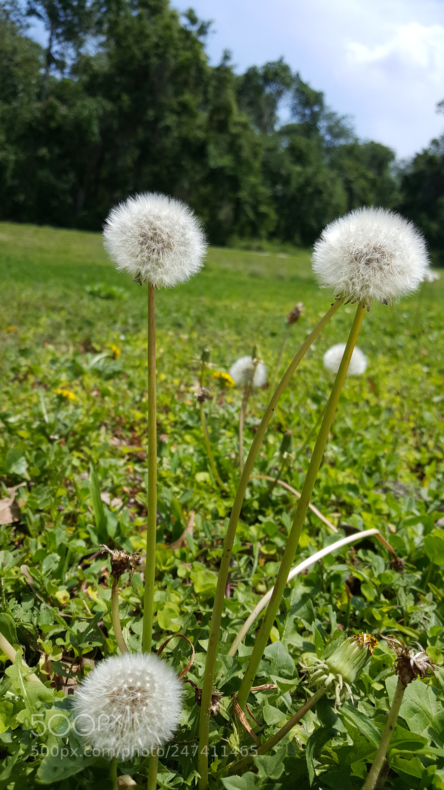 Samsung Galaxy S6 sample photo. Untitled photography