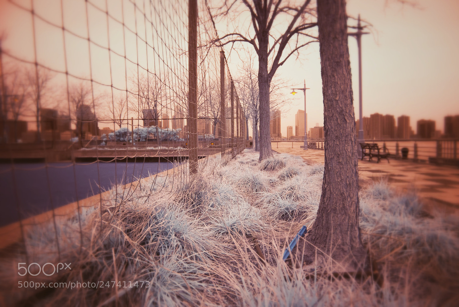 Nikon D40X sample photo. Down by the piers photography
