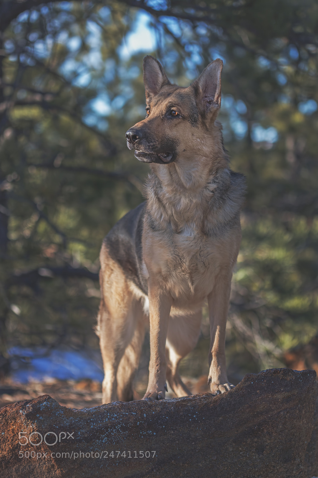 Canon EOS 5DS sample photo. Liesl photography