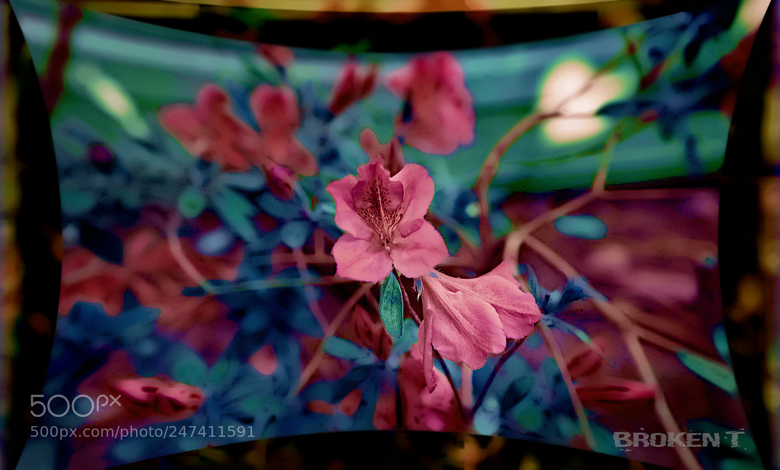 Nikon D70 sample photo. Sunday photography