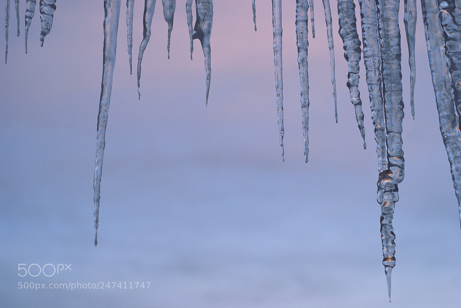 Nikon D80 sample photo. Icicles photography