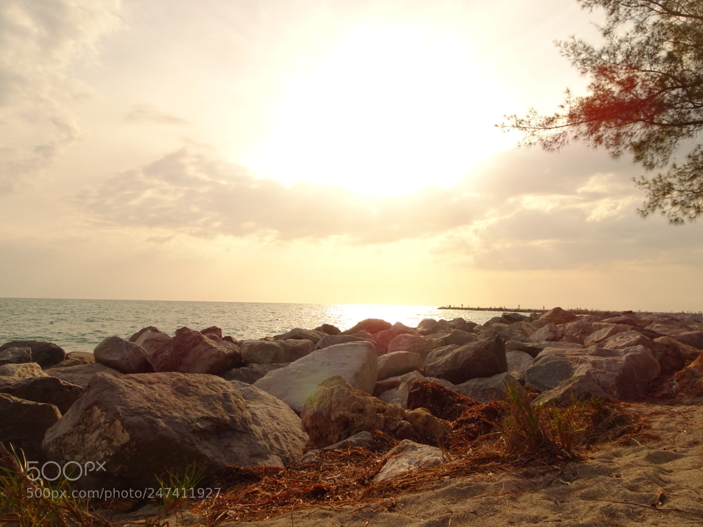 Sony Cyber-shot DSC-HX80 sample photo. The sun is one photography