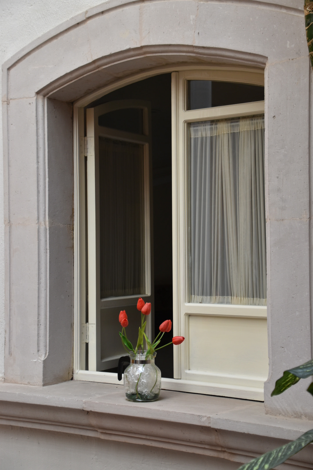 Nikon D5500 sample photo