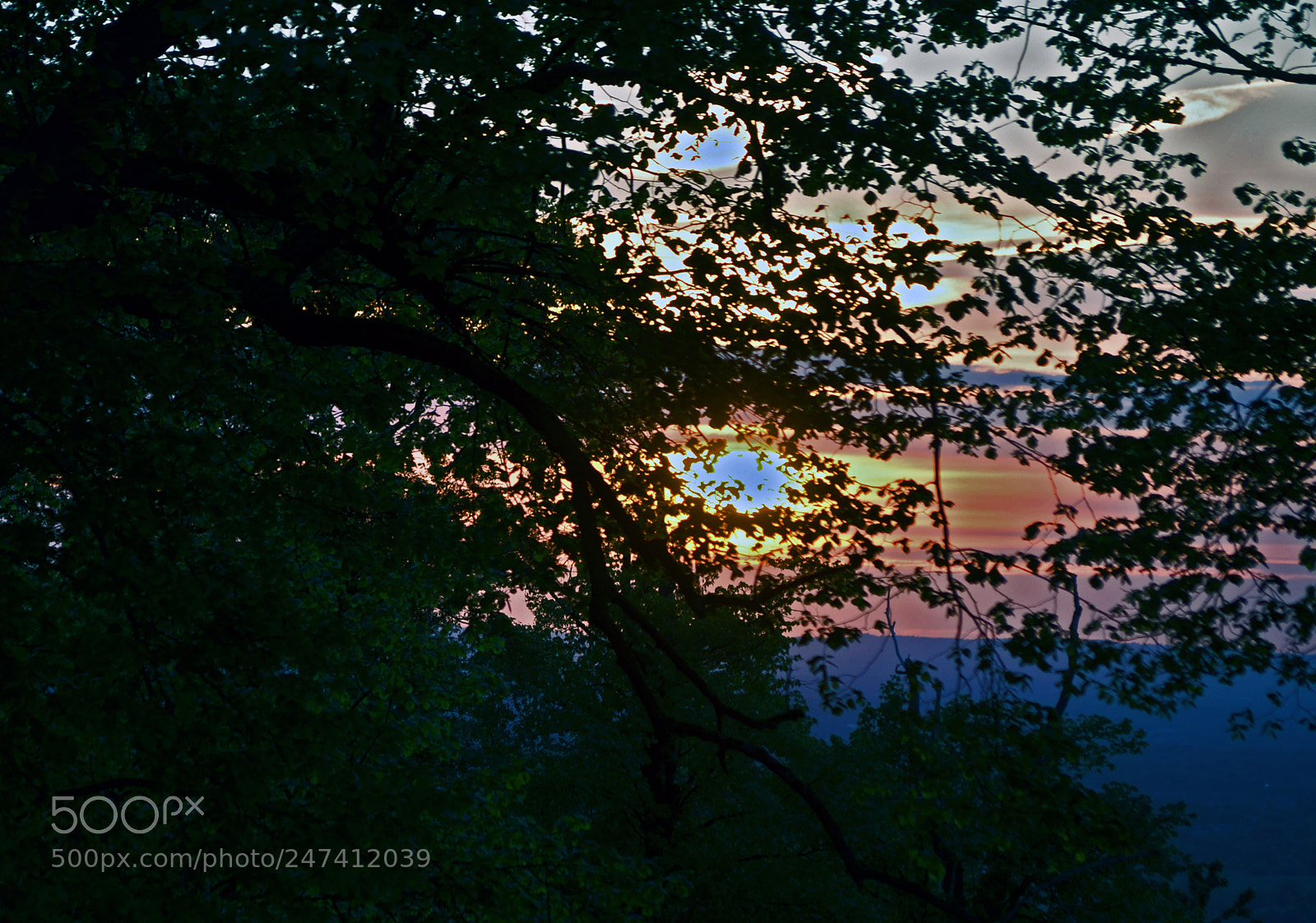 Nikon D5100 sample photo. Bollington sunset photography