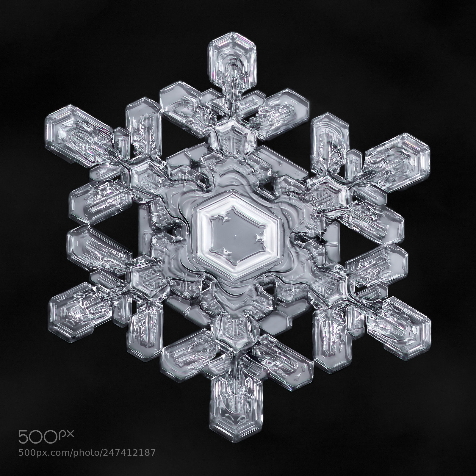 Canon EOS-1D X Mark II sample photo. Snowflake-a-day no. 56 photography