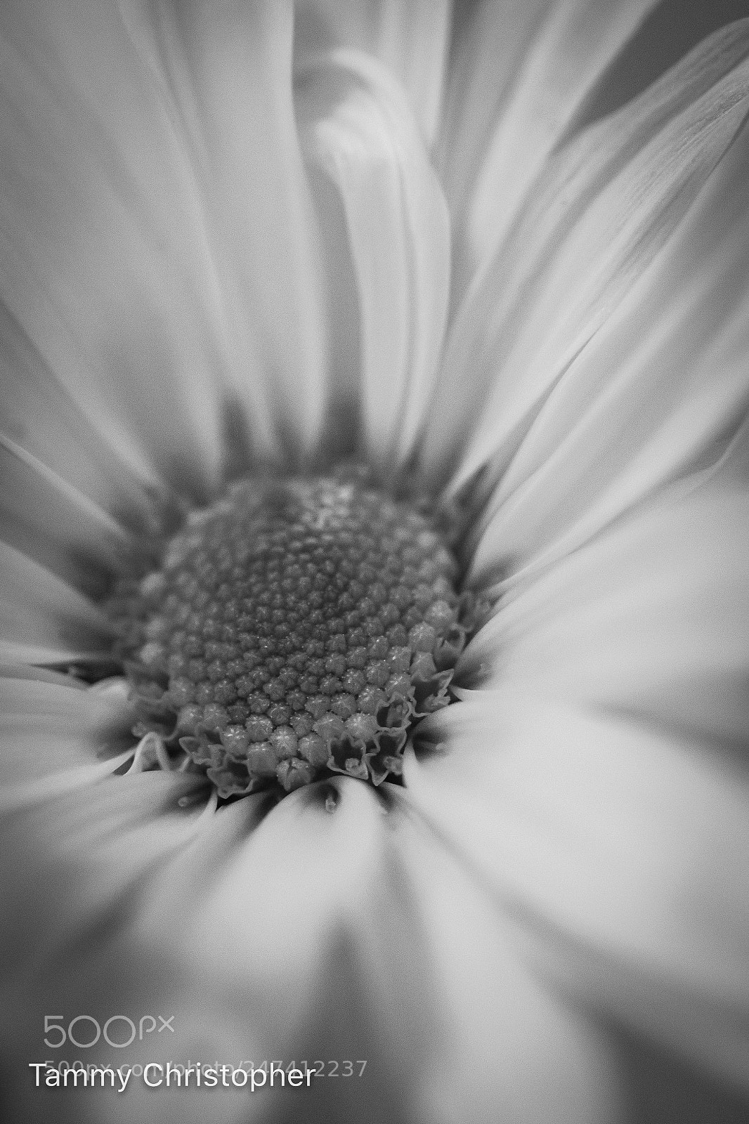 Canon EOS 7D sample photo. Lovely photography