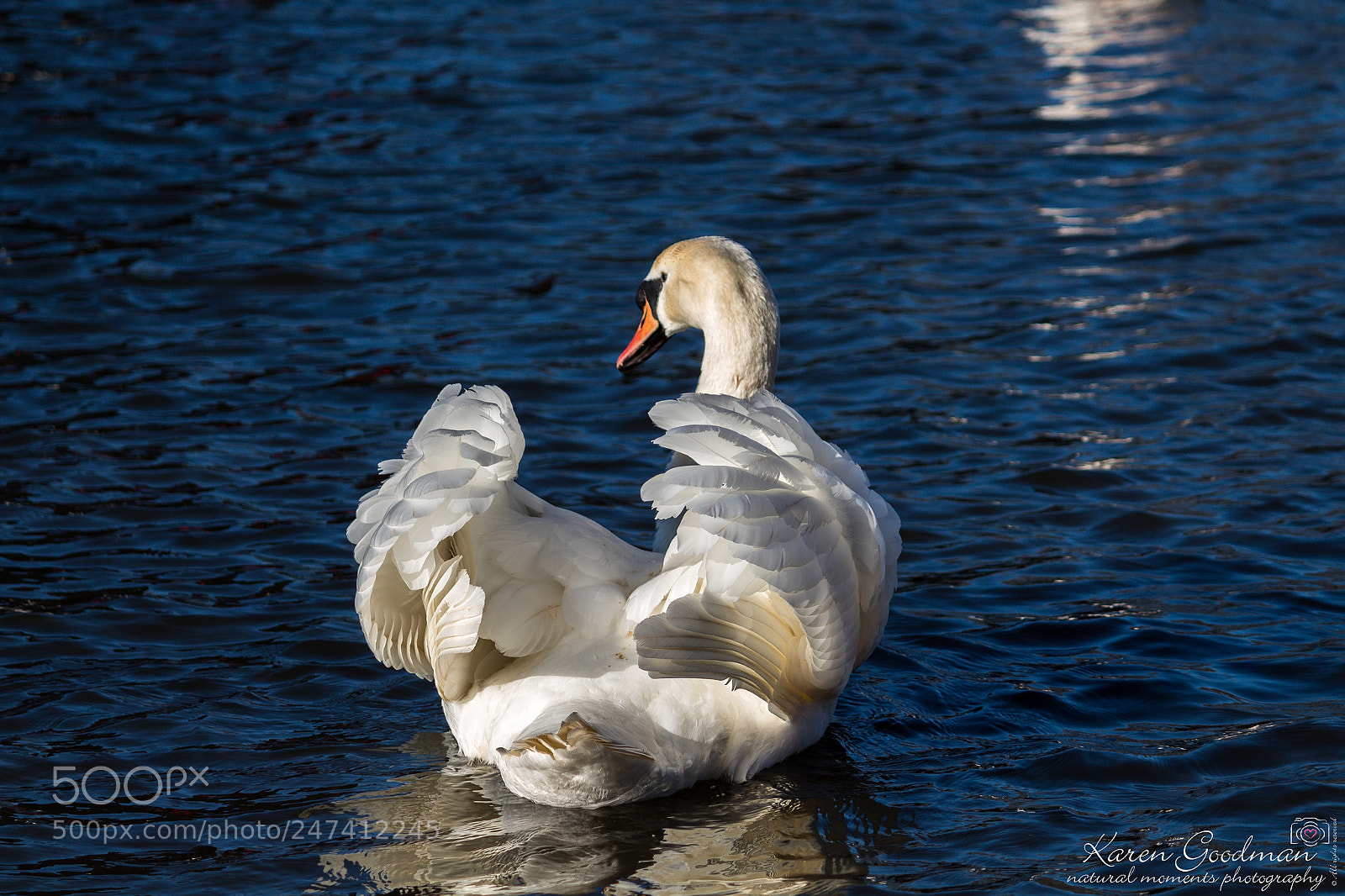 Canon EOS 1300D (EOS Rebel T6 / EOS Kiss X80) sample photo. River at stratford photography