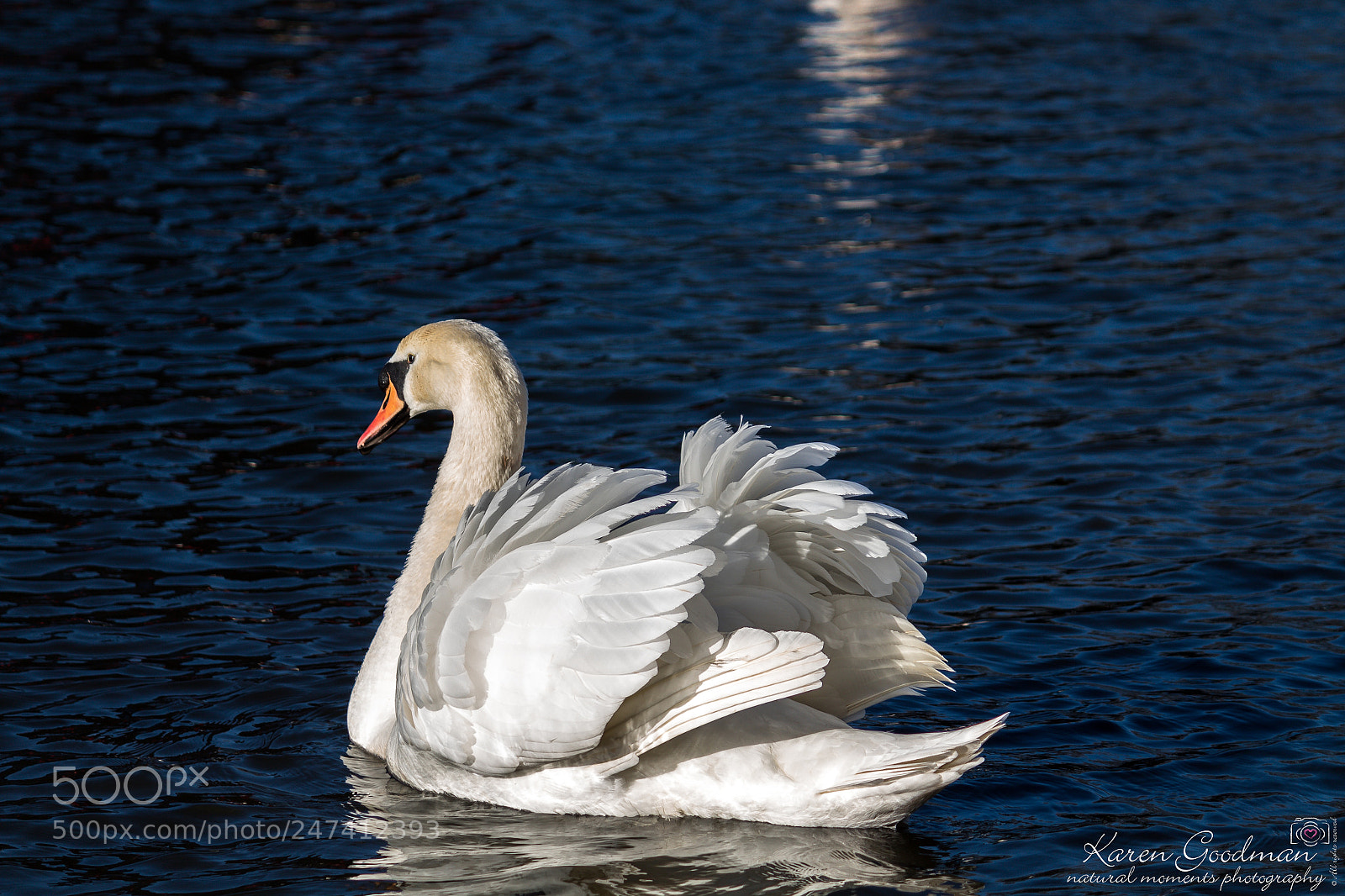 Canon EOS 1300D (EOS Rebel T6 / EOS Kiss X80) sample photo. River at stratford photography