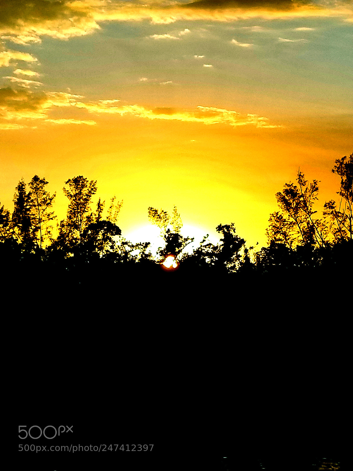 Samsung Galaxy S8+ sample photo. Untitled photography