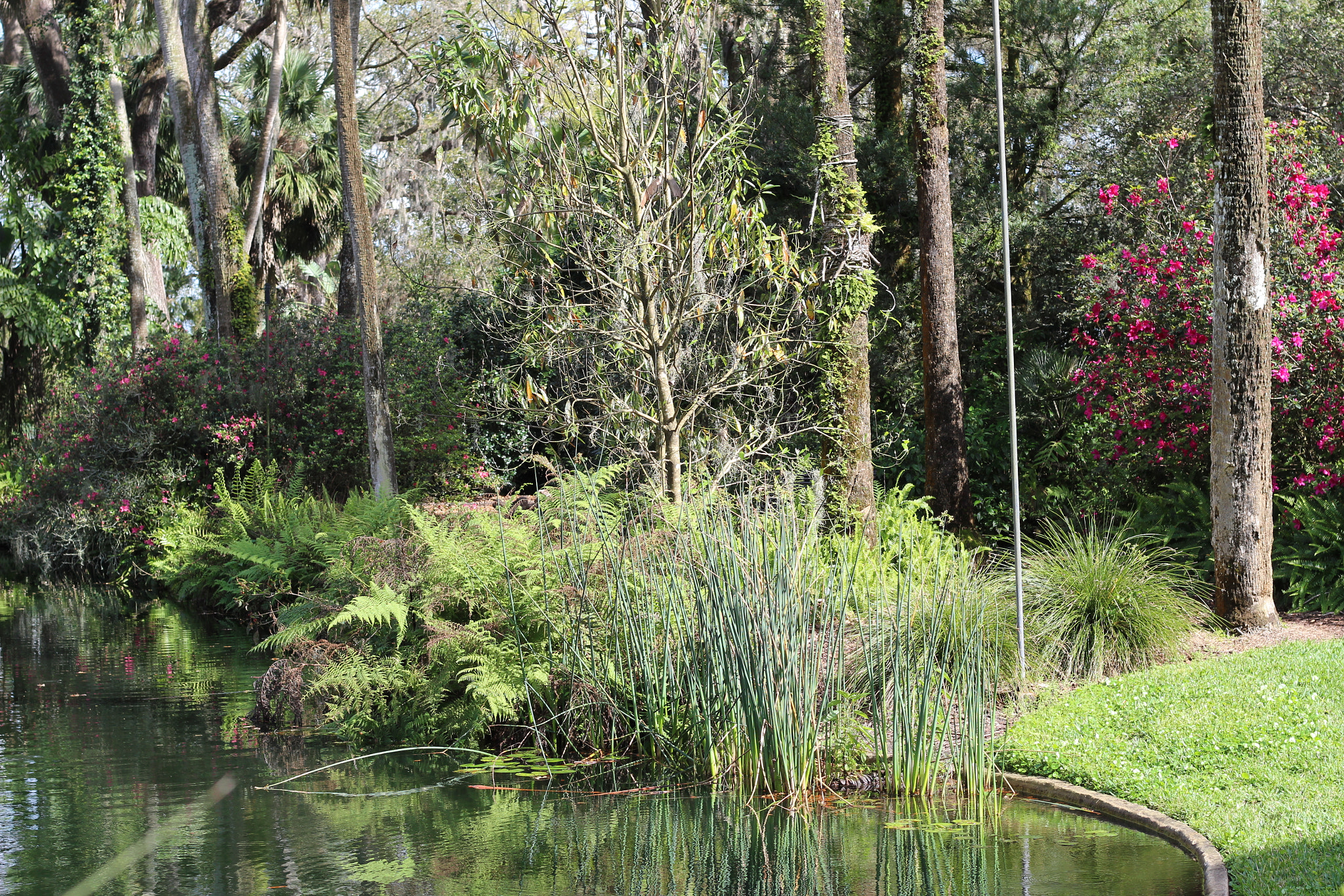 Canon EOS 1300D (EOS Rebel T6 / EOS Kiss X80) sample photo. Bok tower garden photography