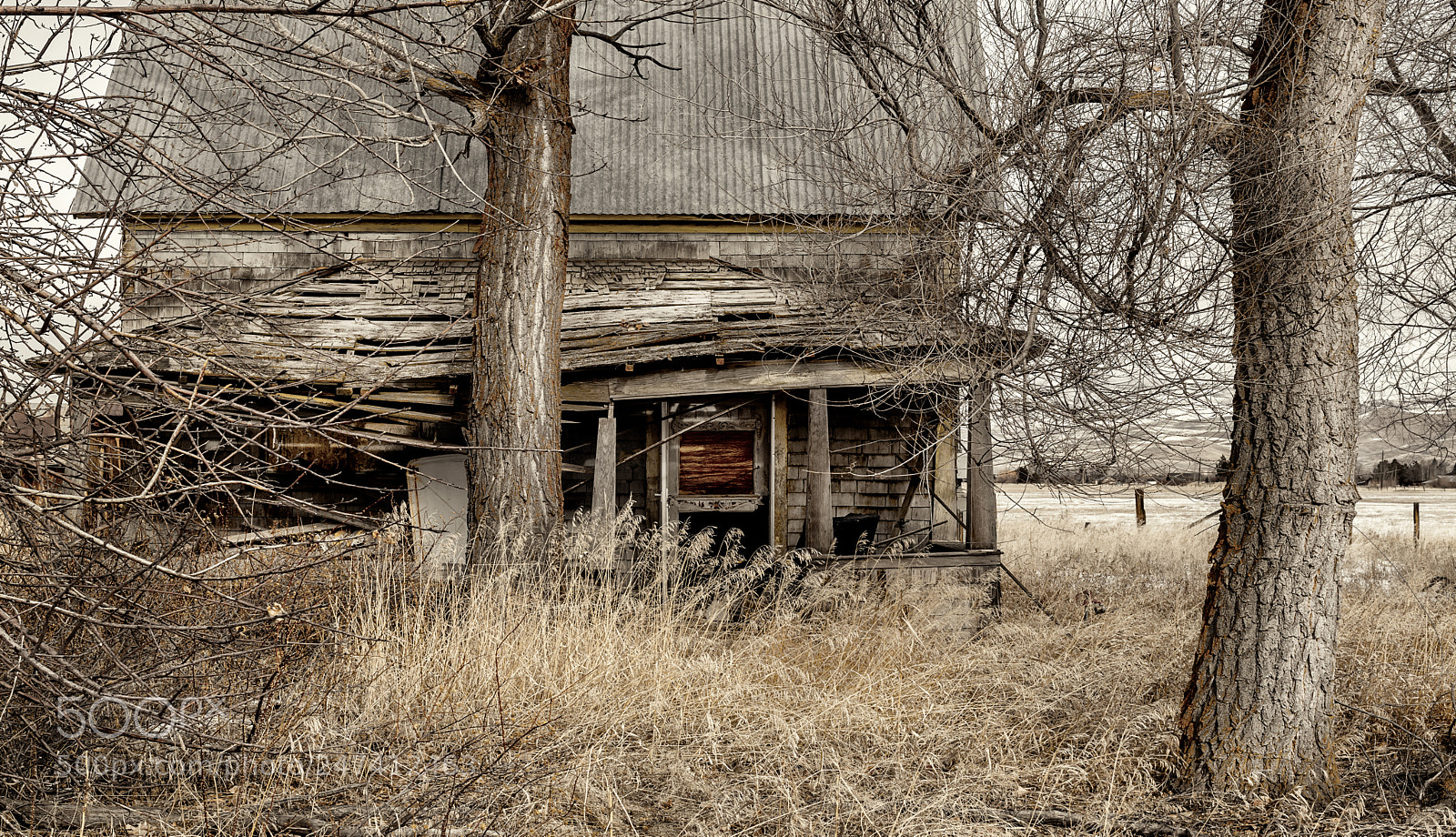 Nikon D850 sample photo. Rotten and crumbling farmhouse photography