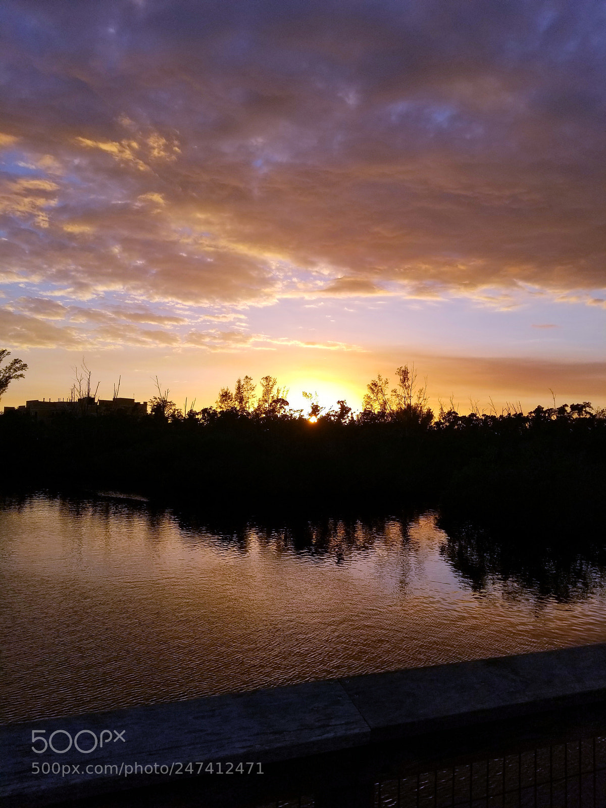 Samsung Galaxy S8+ sample photo. Untitled photography