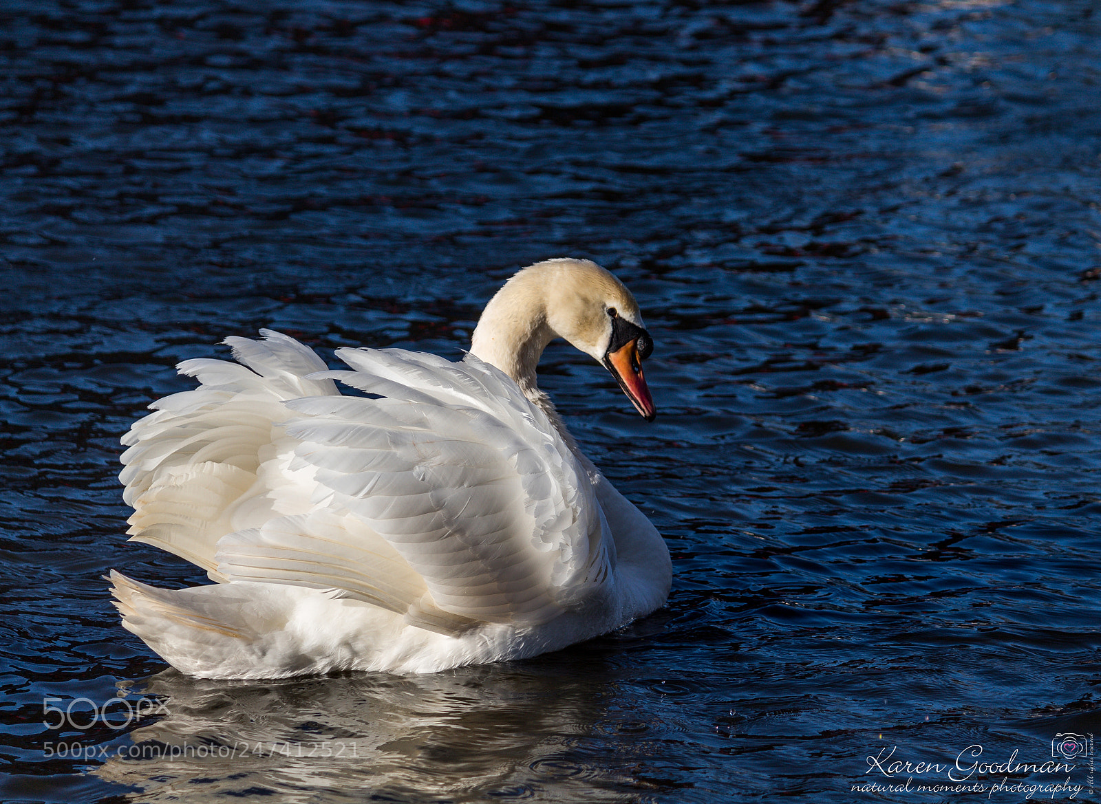 Canon EOS 1300D (EOS Rebel T6 / EOS Kiss X80) sample photo. River at stratford photography