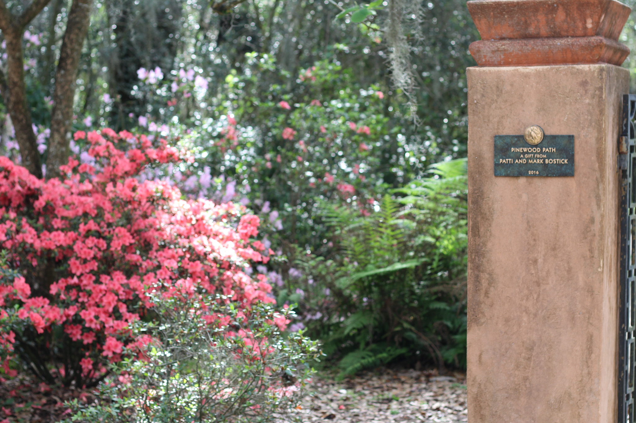Canon EOS 1300D (EOS Rebel T6 / EOS Kiss X80) sample photo. Bok tower garden photography