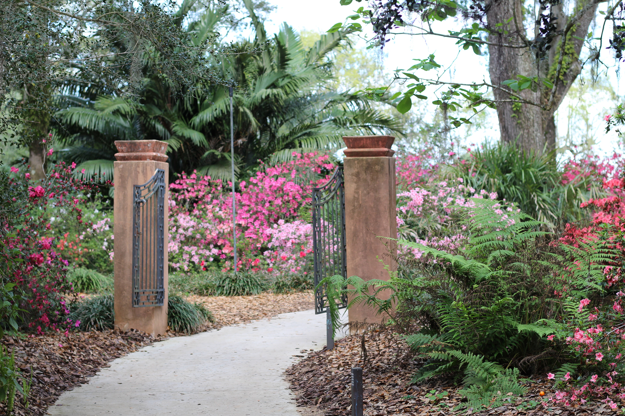 Canon EOS 1300D (EOS Rebel T6 / EOS Kiss X80) sample photo. Bok tower garden photography