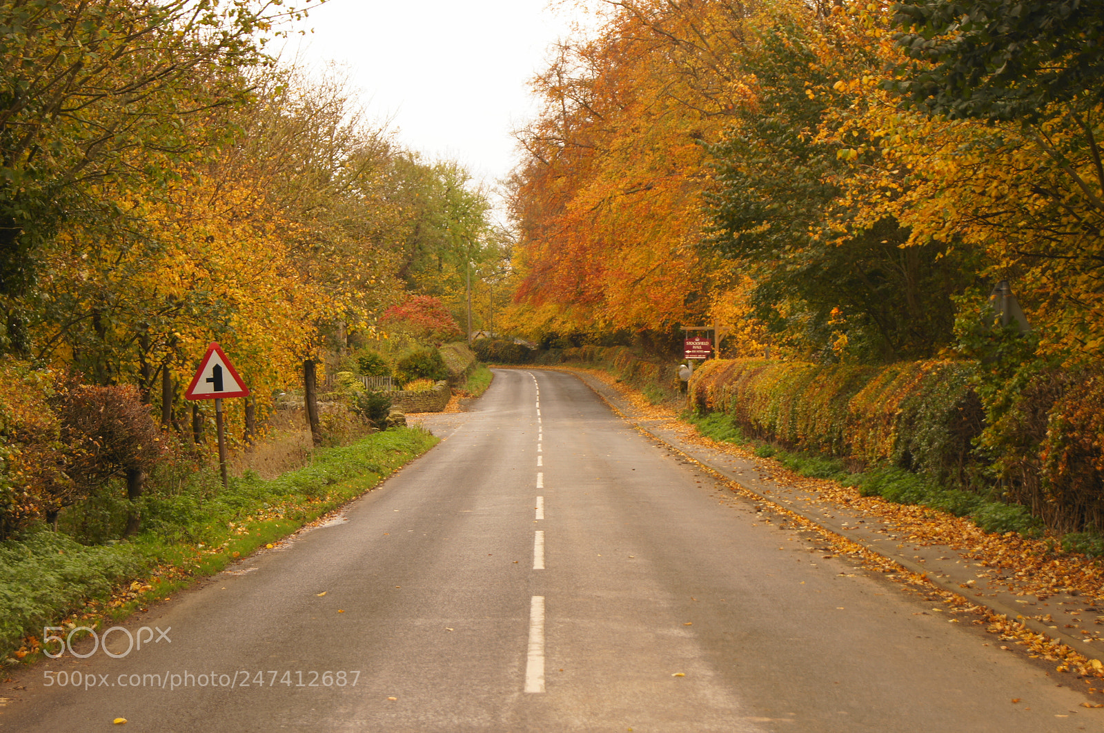 Sony SLT-A55 (SLT-A55V) sample photo. Autumn road near hadrian's photography