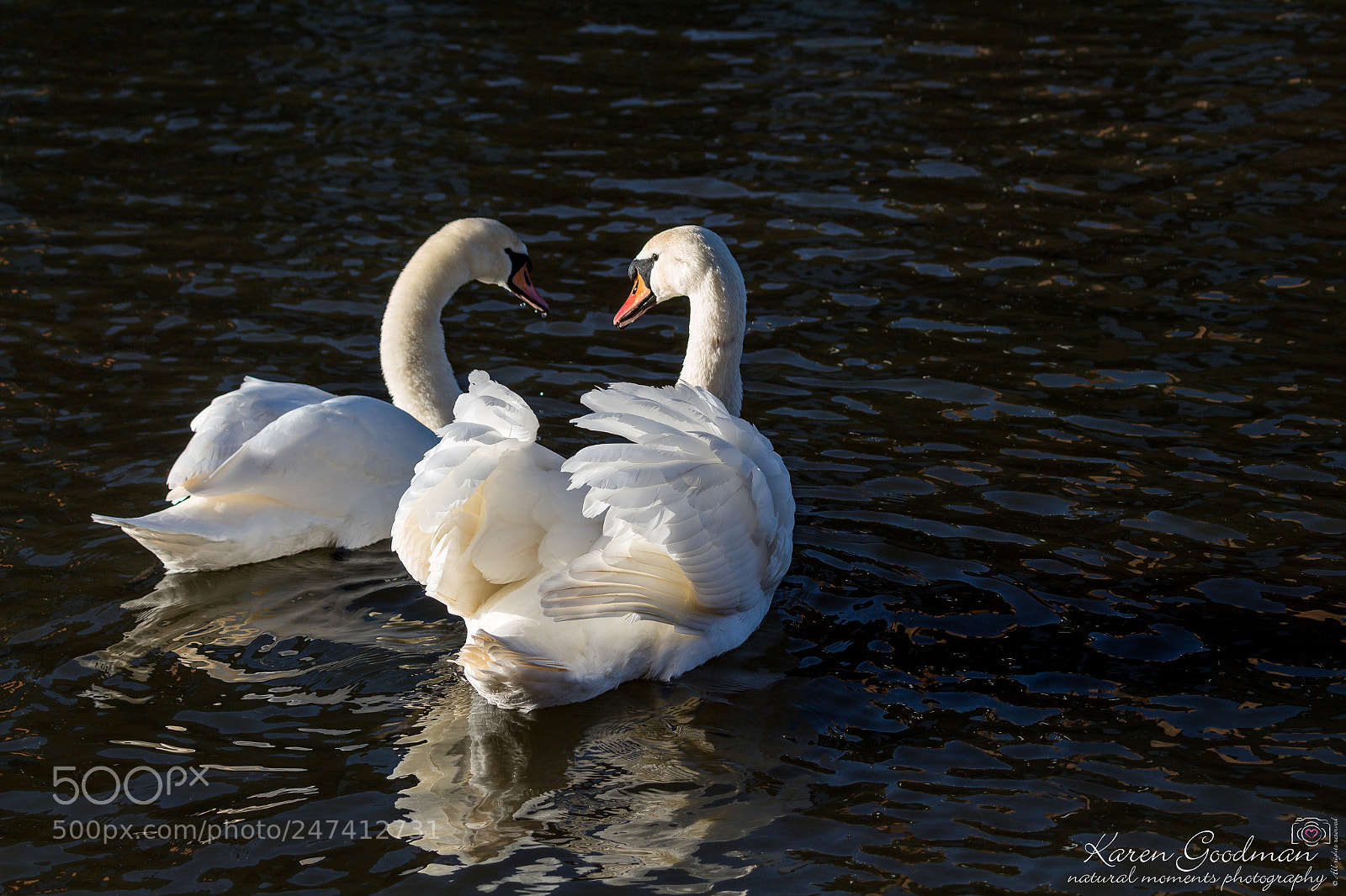 Canon EOS 1300D (EOS Rebel T6 / EOS Kiss X80) sample photo. River at stratford photography