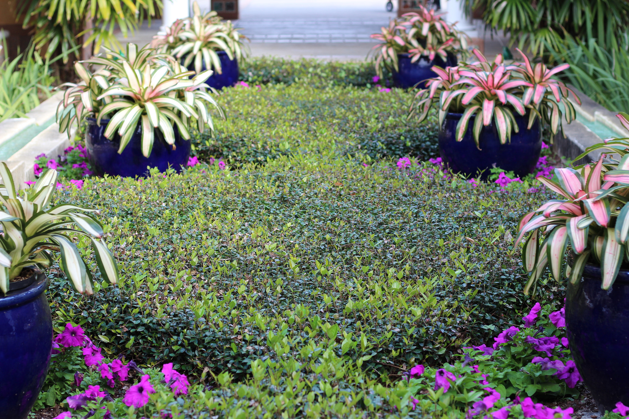 Canon EOS 1300D (EOS Rebel T6 / EOS Kiss X80) sample photo. Bok tower garden photography