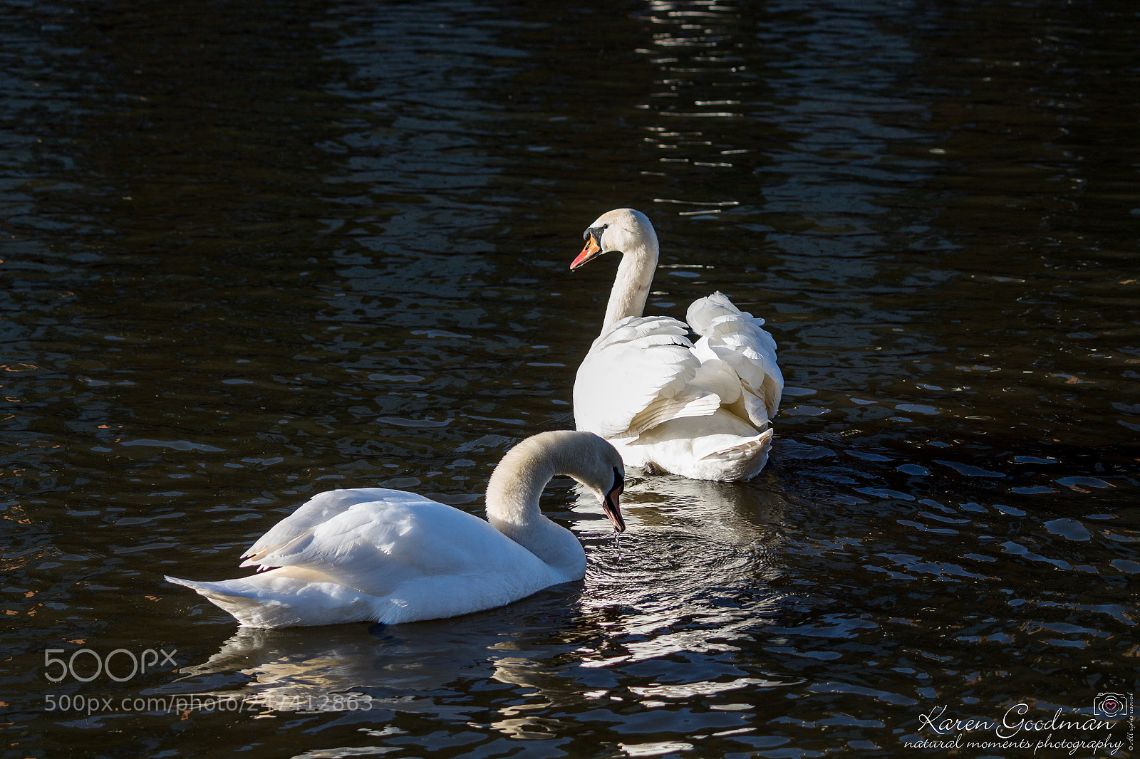 Canon EOS 1300D (EOS Rebel T6 / EOS Kiss X80) sample photo. River at stratford photography